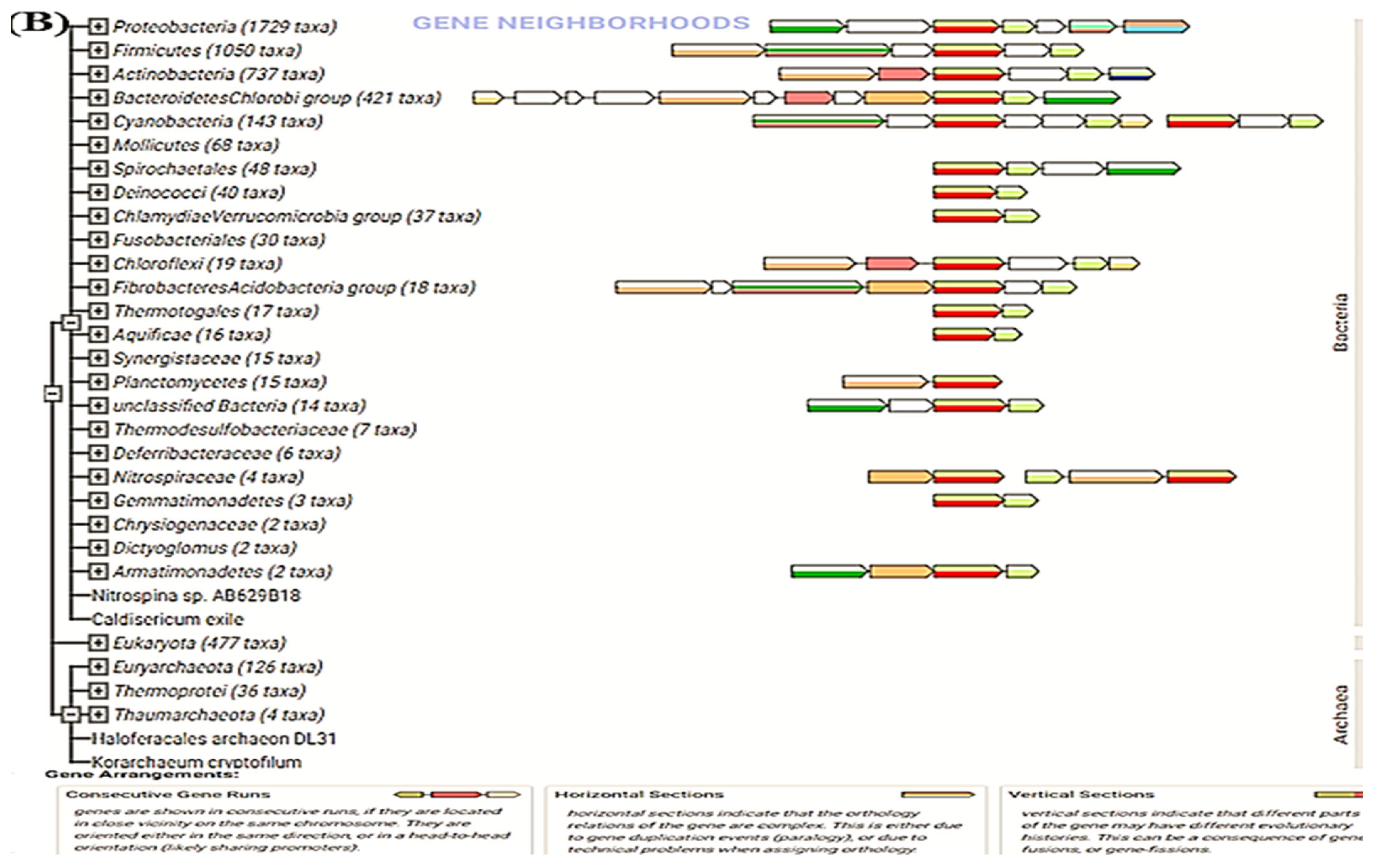 Molecules 28 03018 g008b