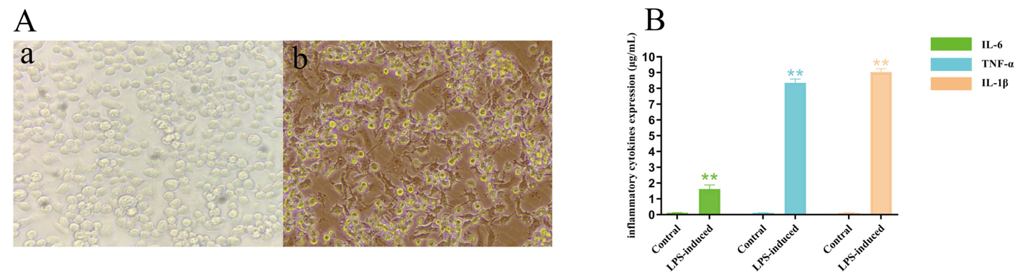 Molecules 28 03021 g005