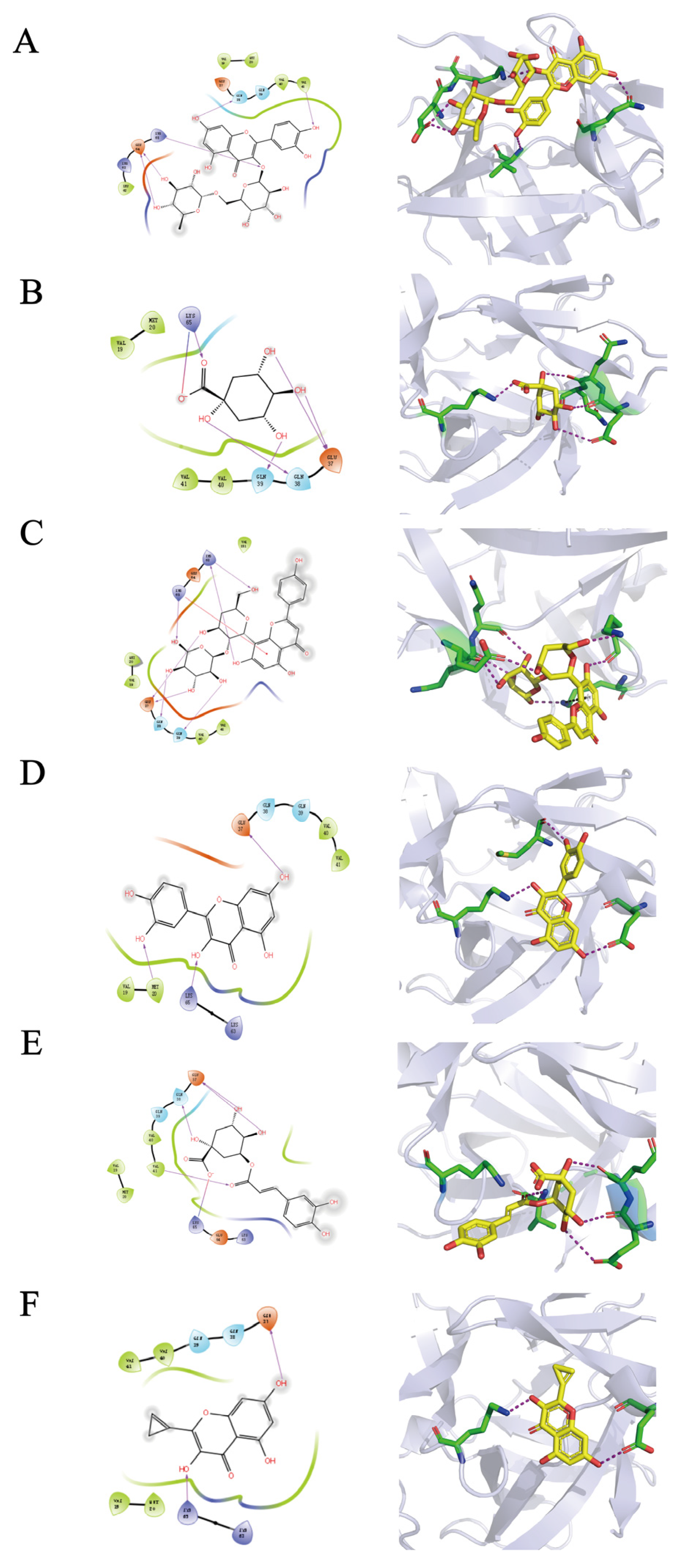 Molecules 28 03021 g008