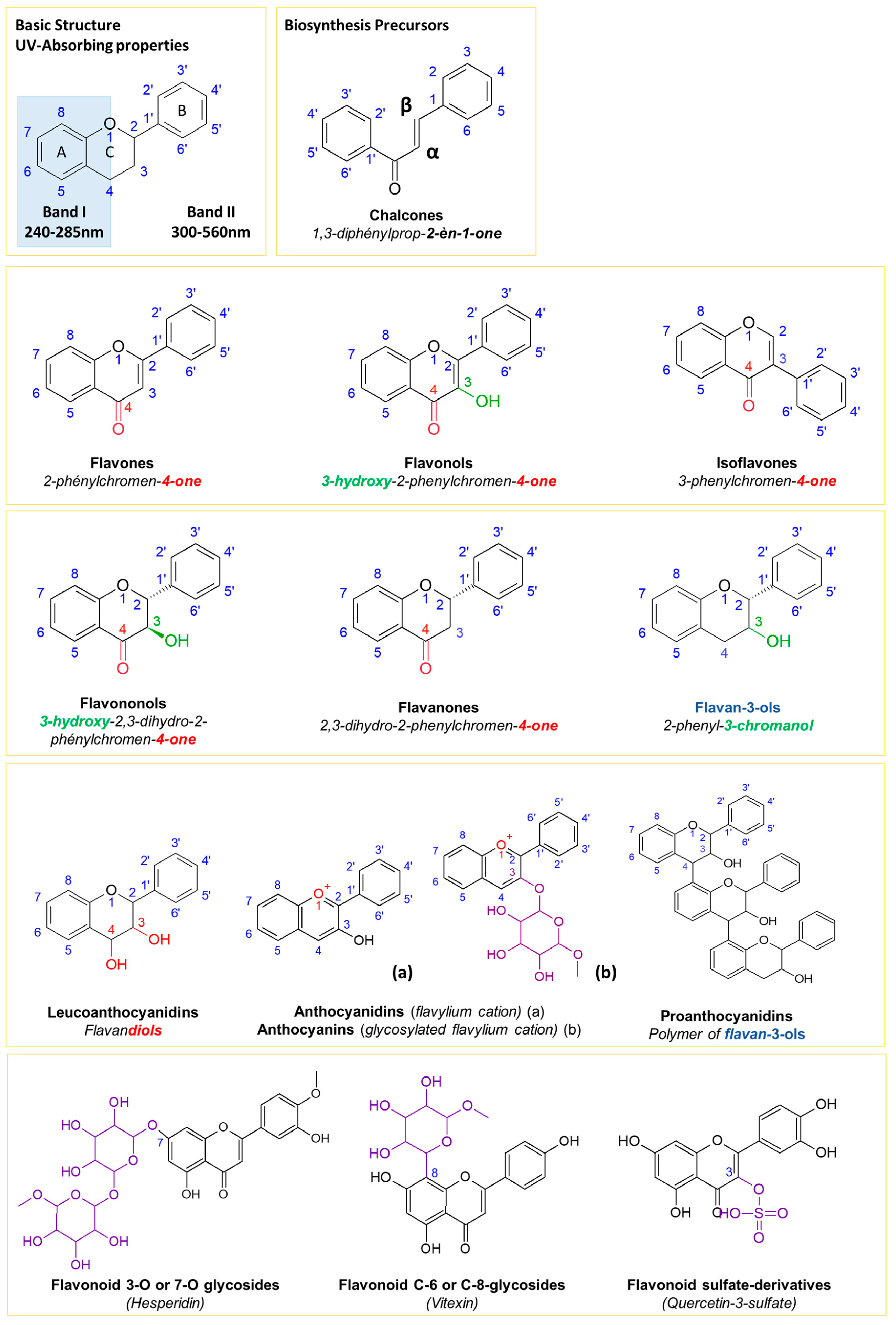 Molecules 28 03022 g001 Molecules 28 03022 g001