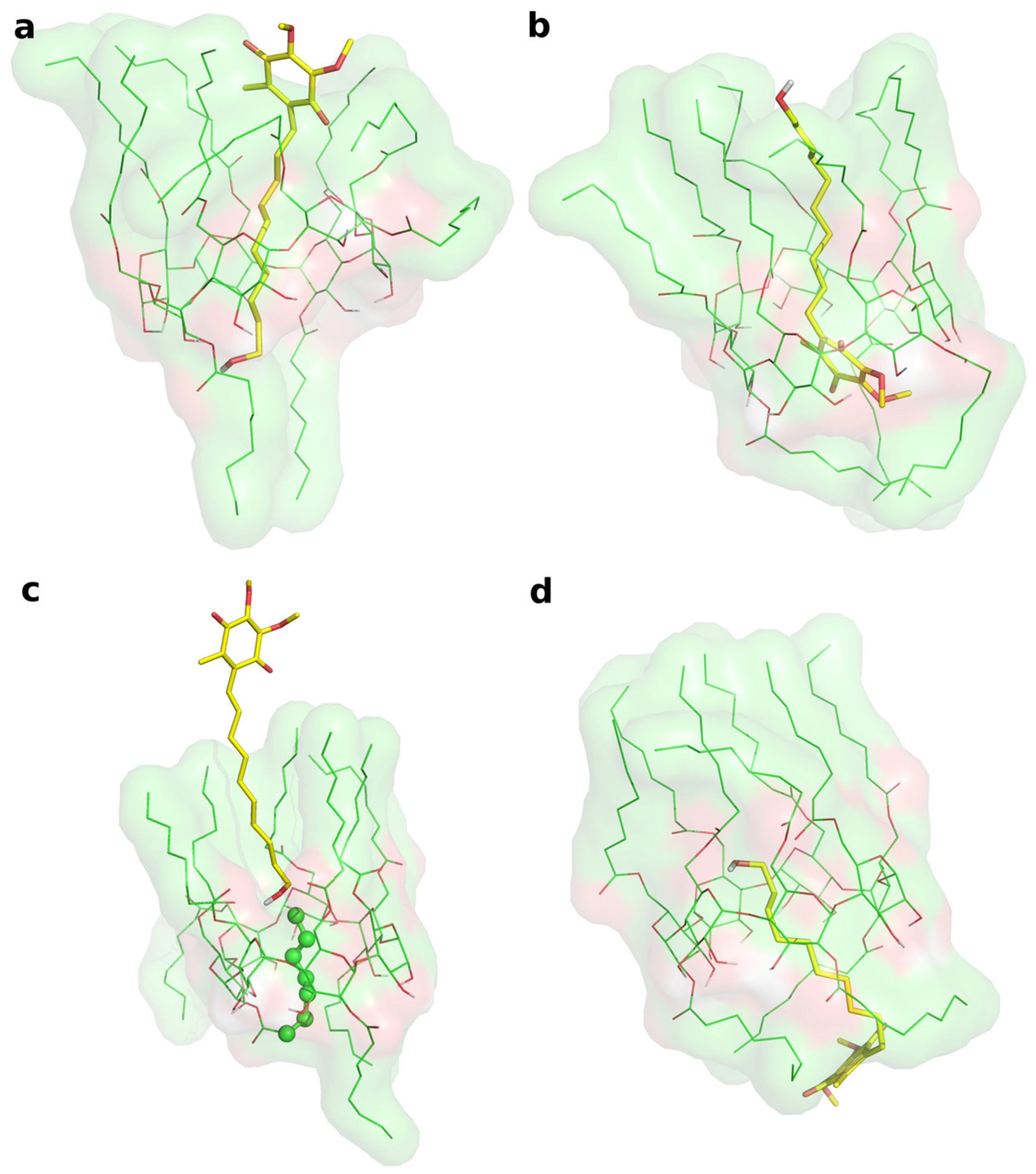 Molecules 28 03023 g006