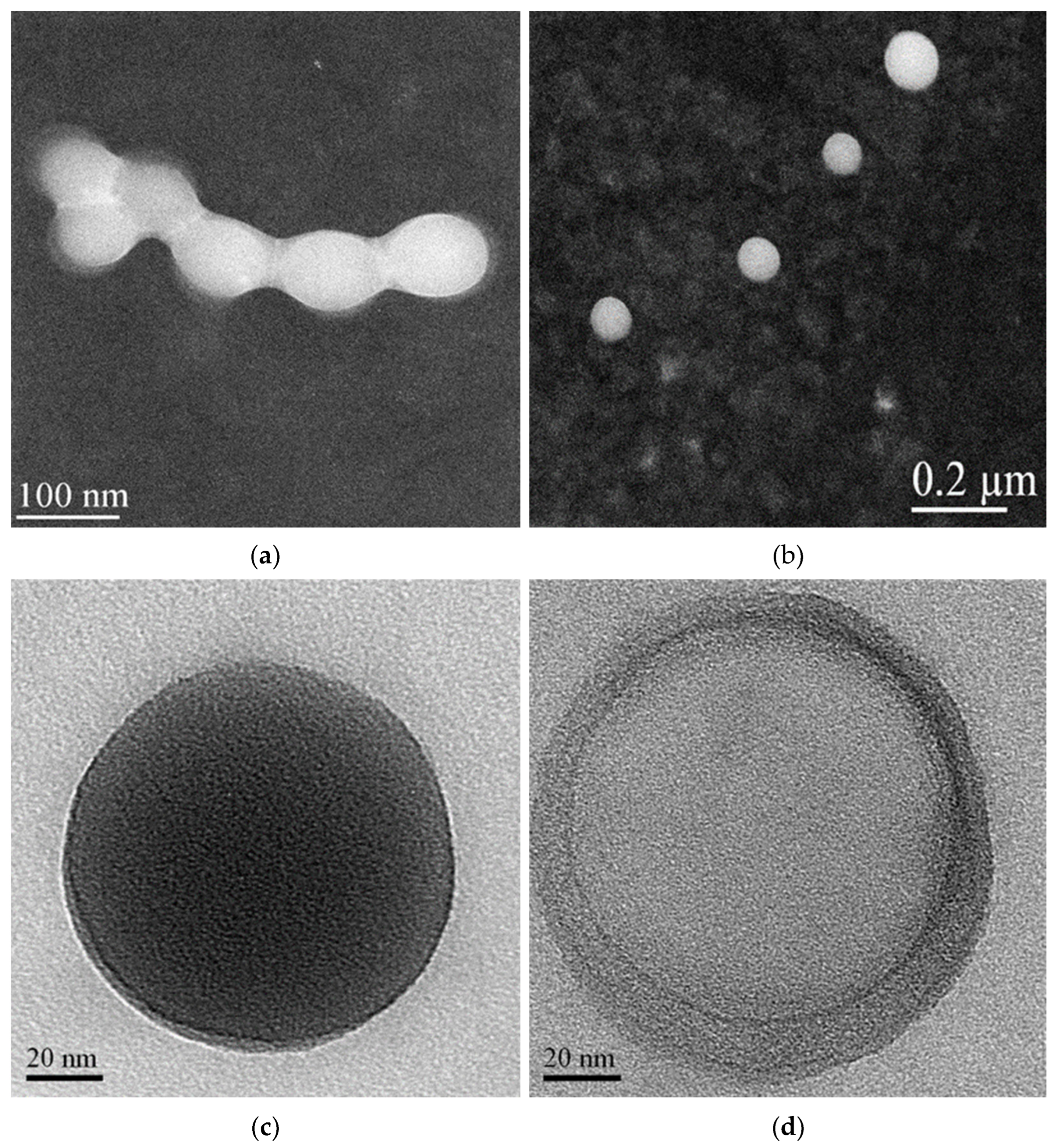 Molecules 28 03023 g010