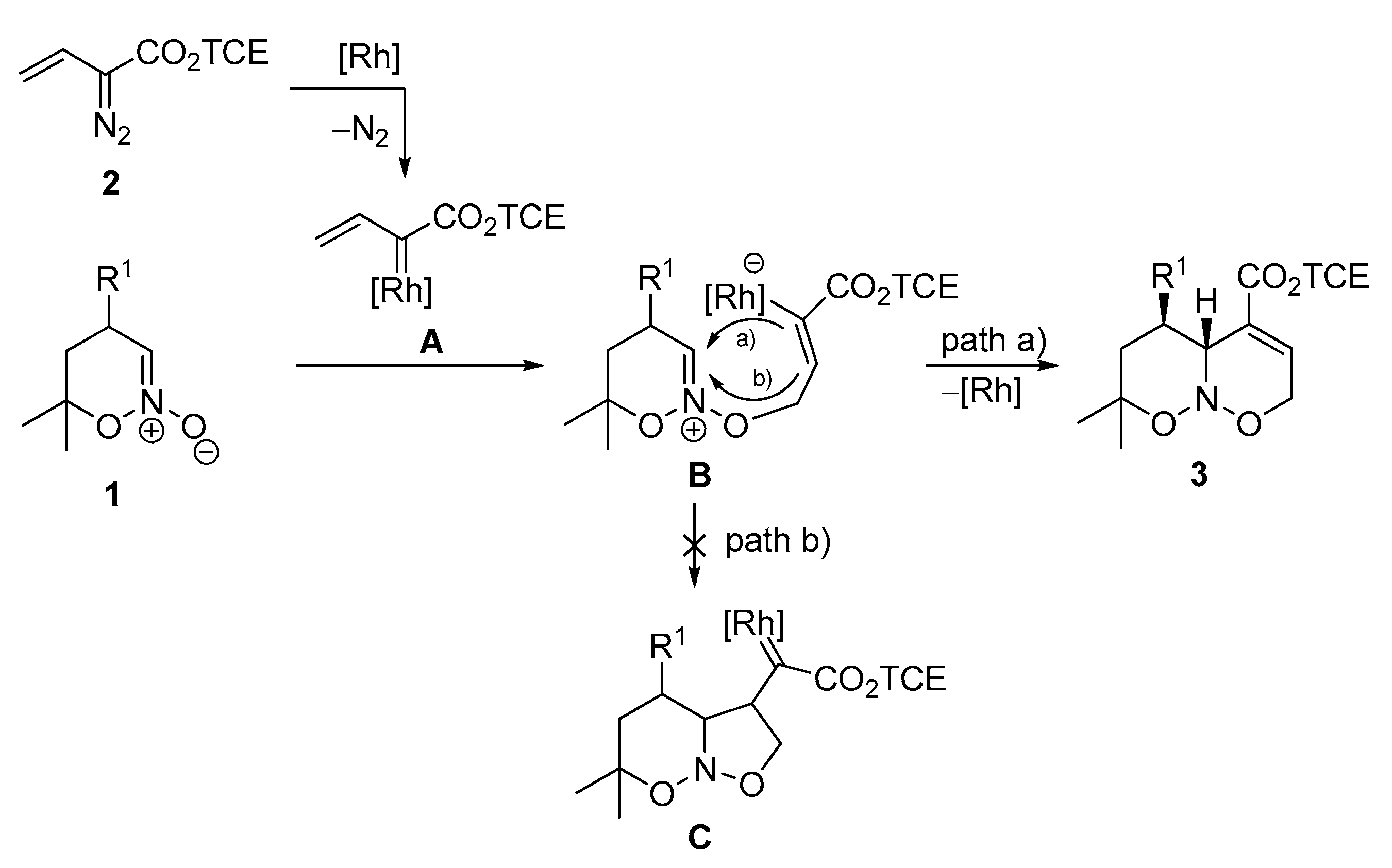 Molecules 28 03025 sch003 Molecules 28 03025 sch003