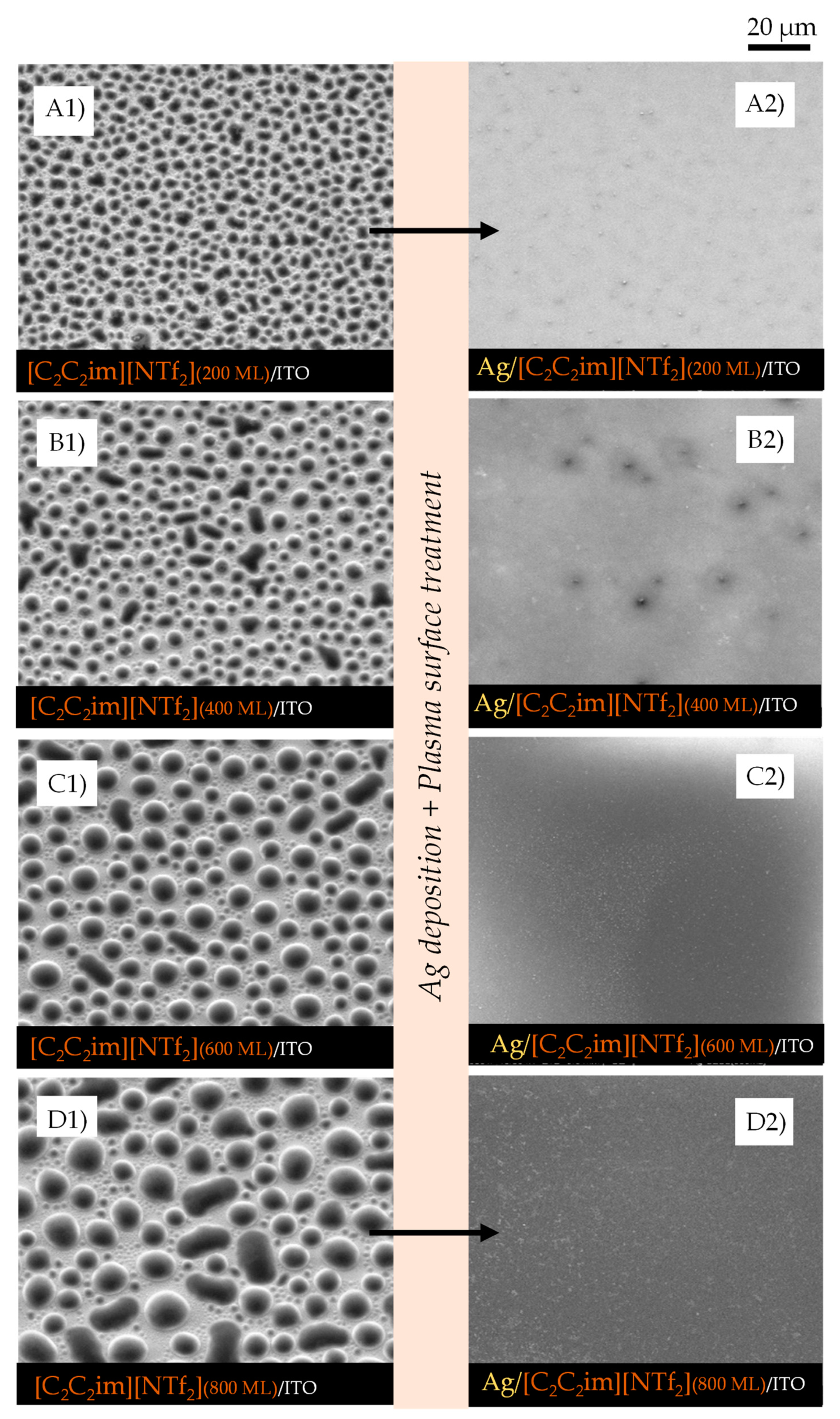 Molecules 28 03029 g003 Molecules 28 03029 g003