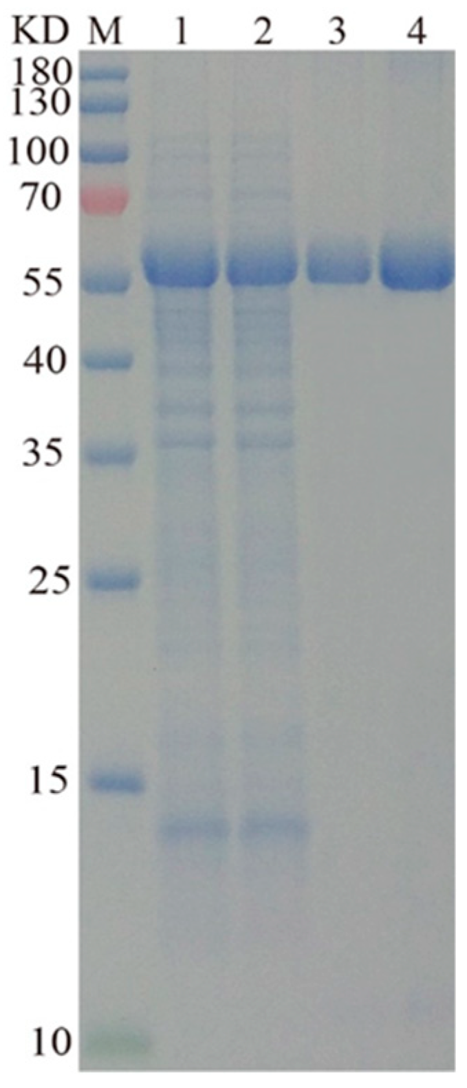 Molecules 28 03037 g003