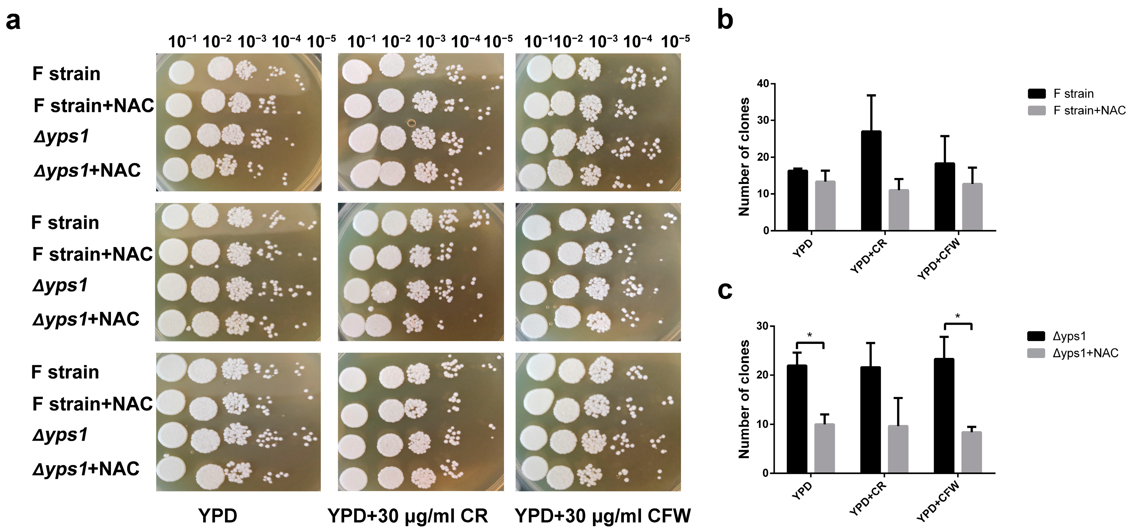 Molecules 28 03041 g001