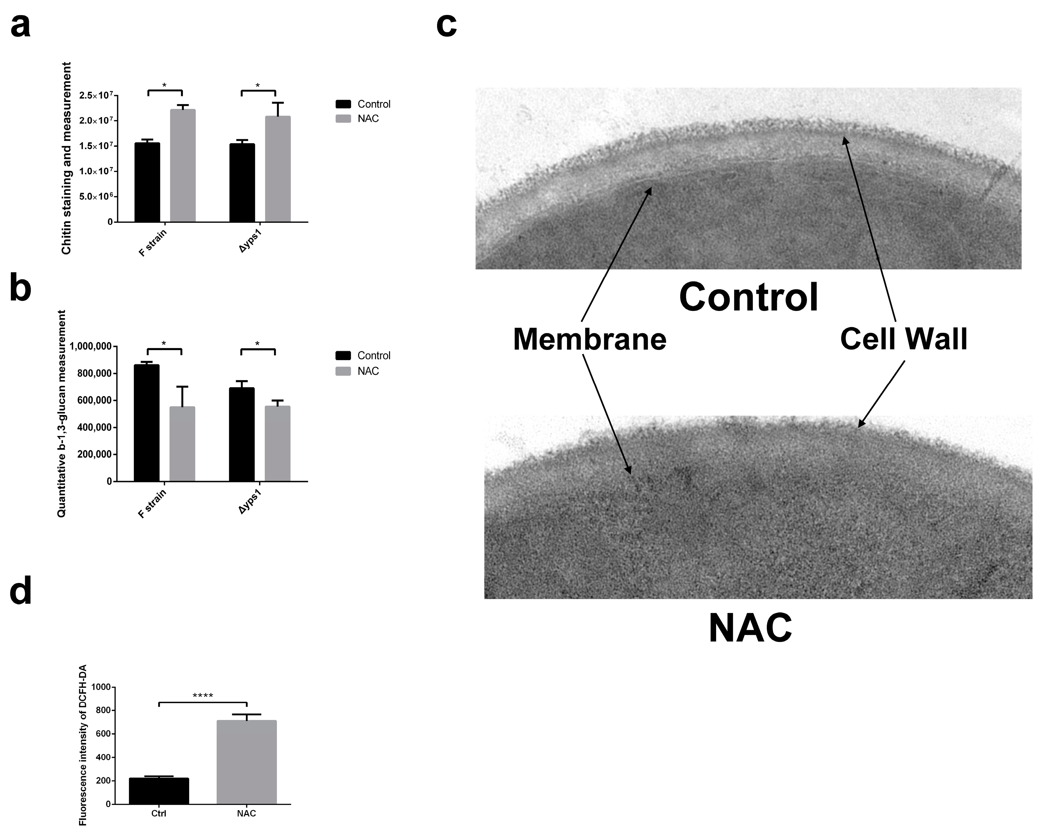 Molecules 28 03041 g002