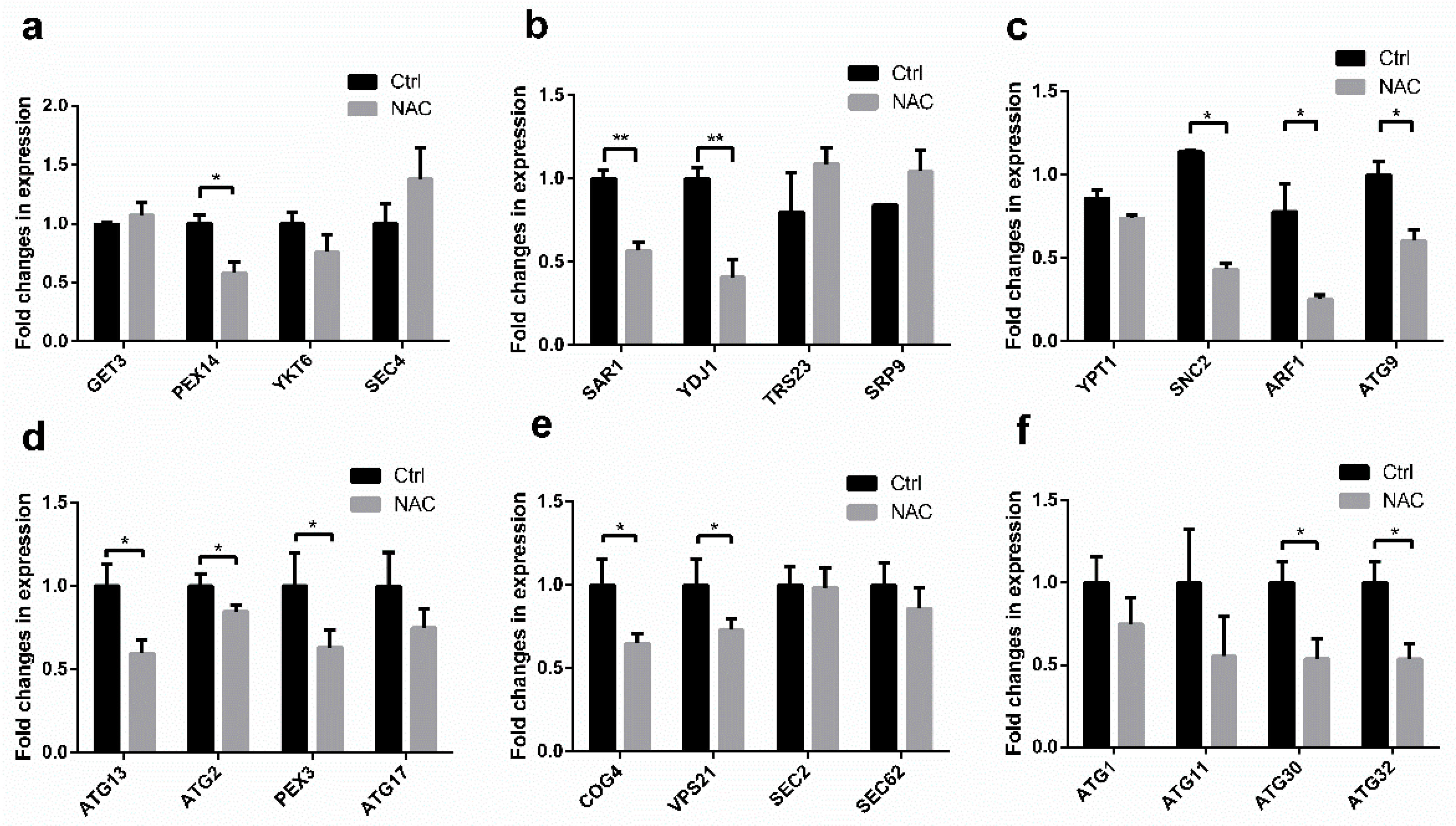 Molecules 28 03041 g003