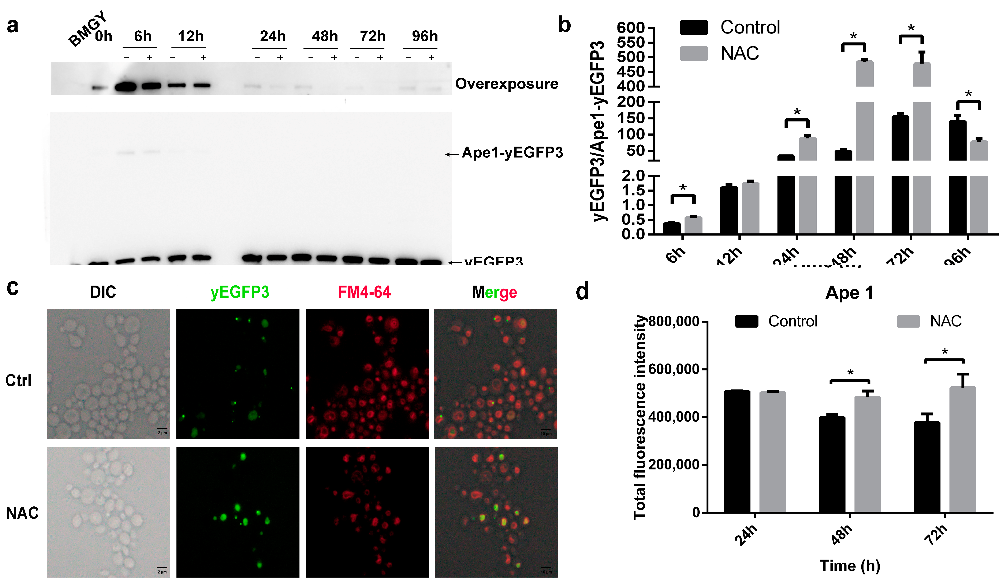 Molecules 28 03041 g005