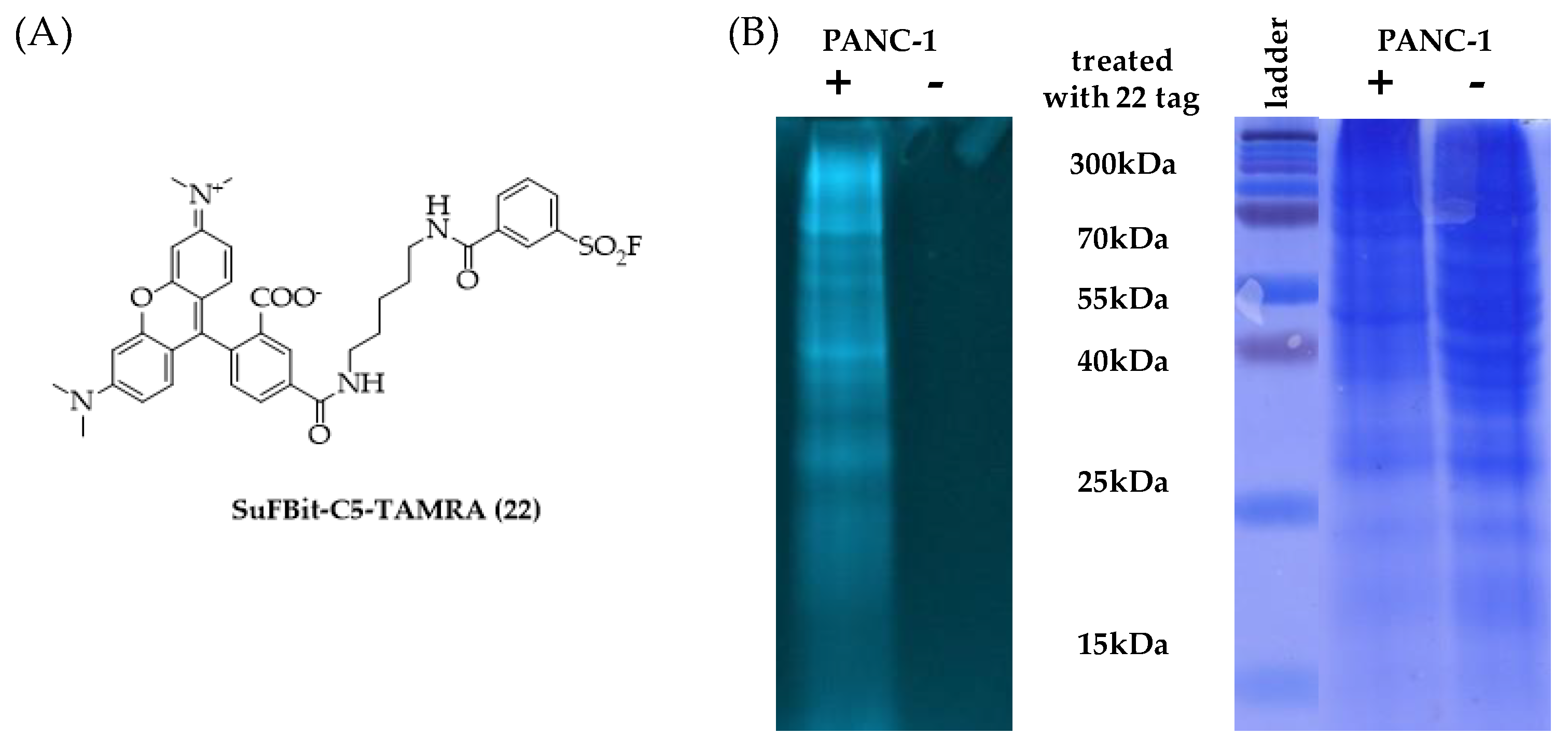 Molecules 28 03042 g008