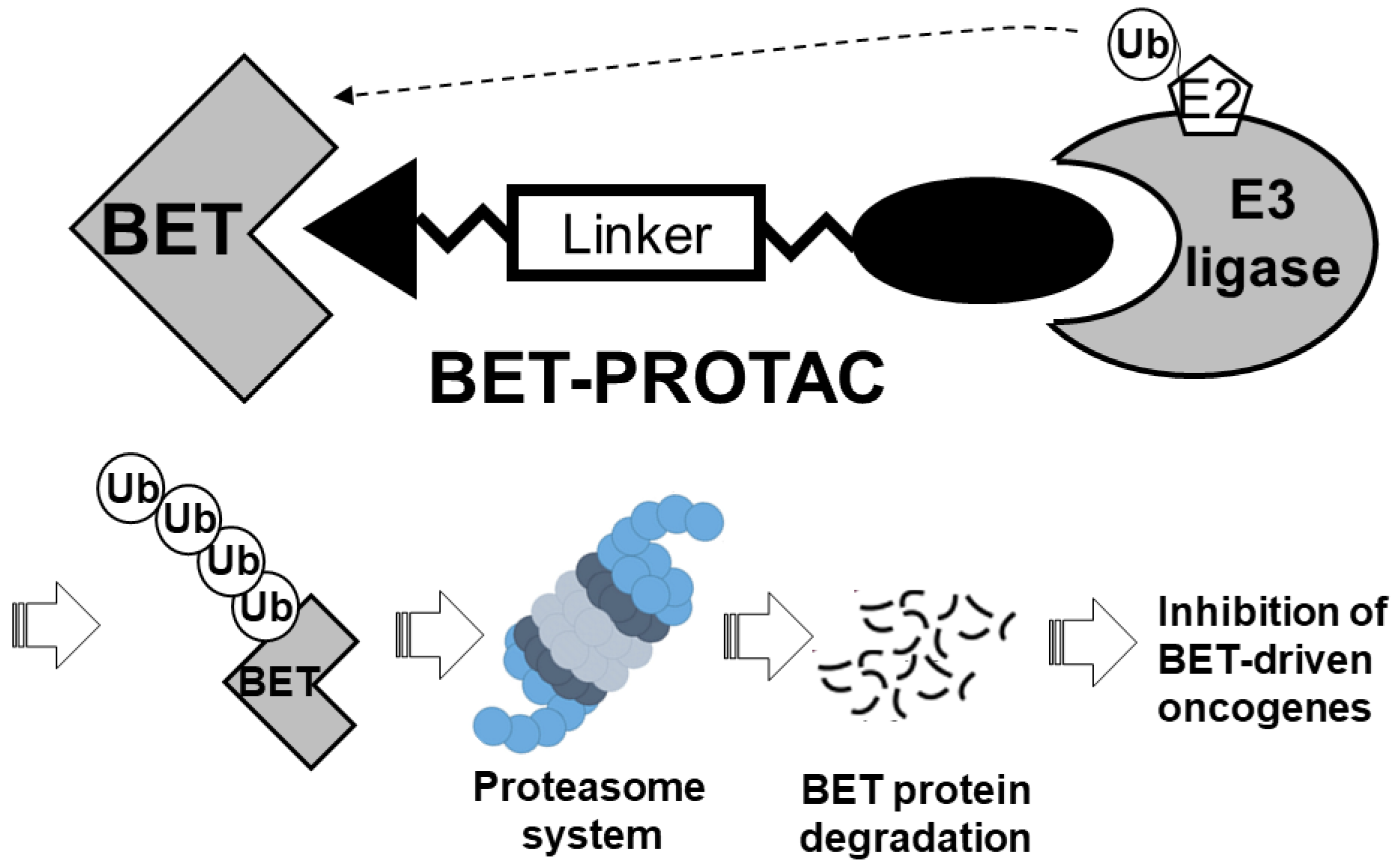 Molecules 28 03043 g003