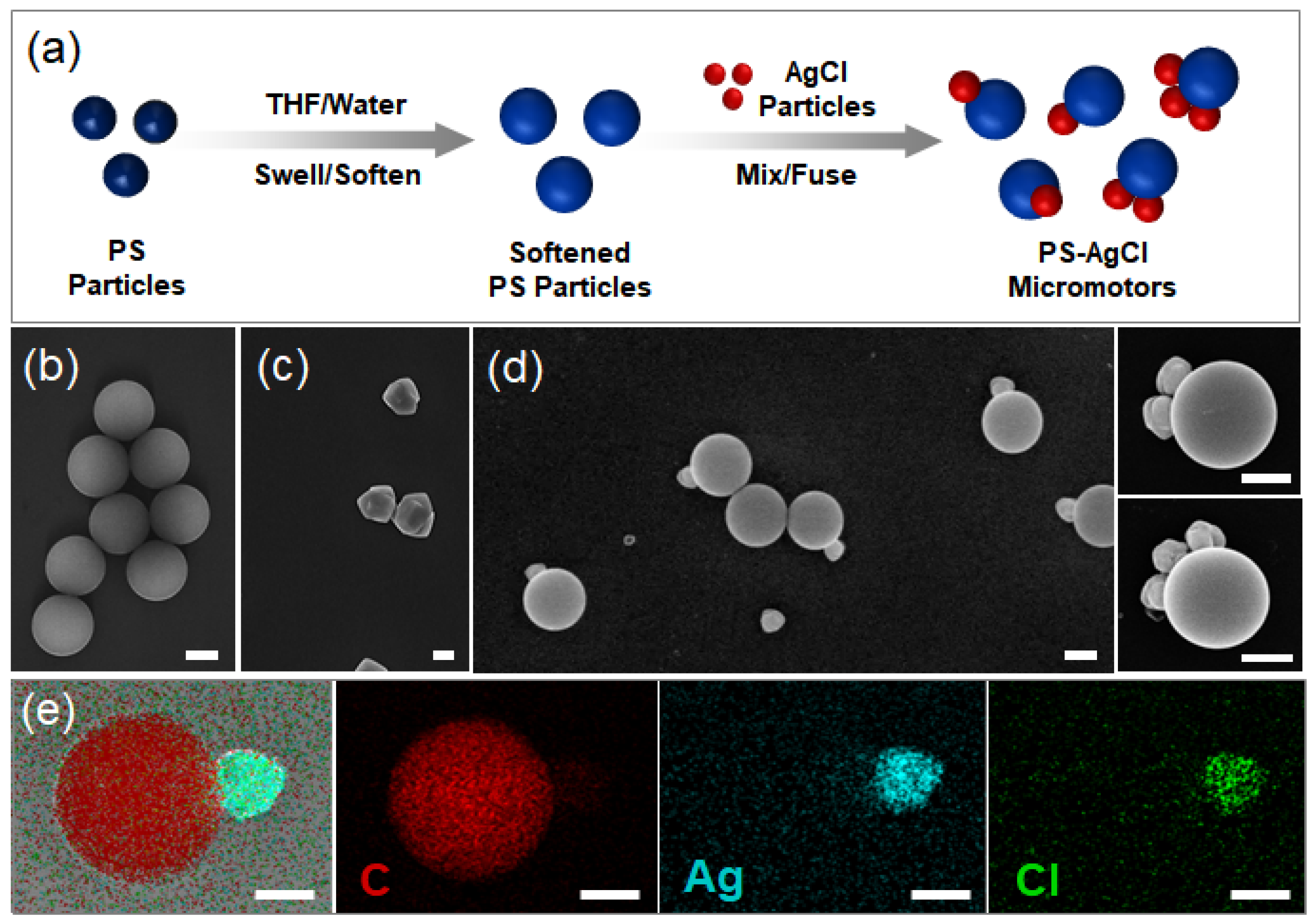 Molecules 28 03048 g001 Molecules 28 03048 g001