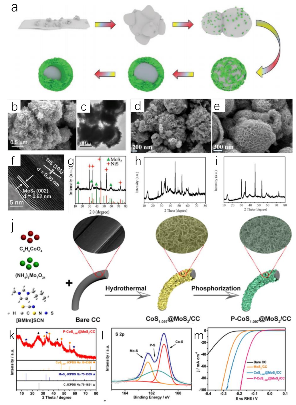 Molecules 28 03051 g005 Molecules 28 03051 g005