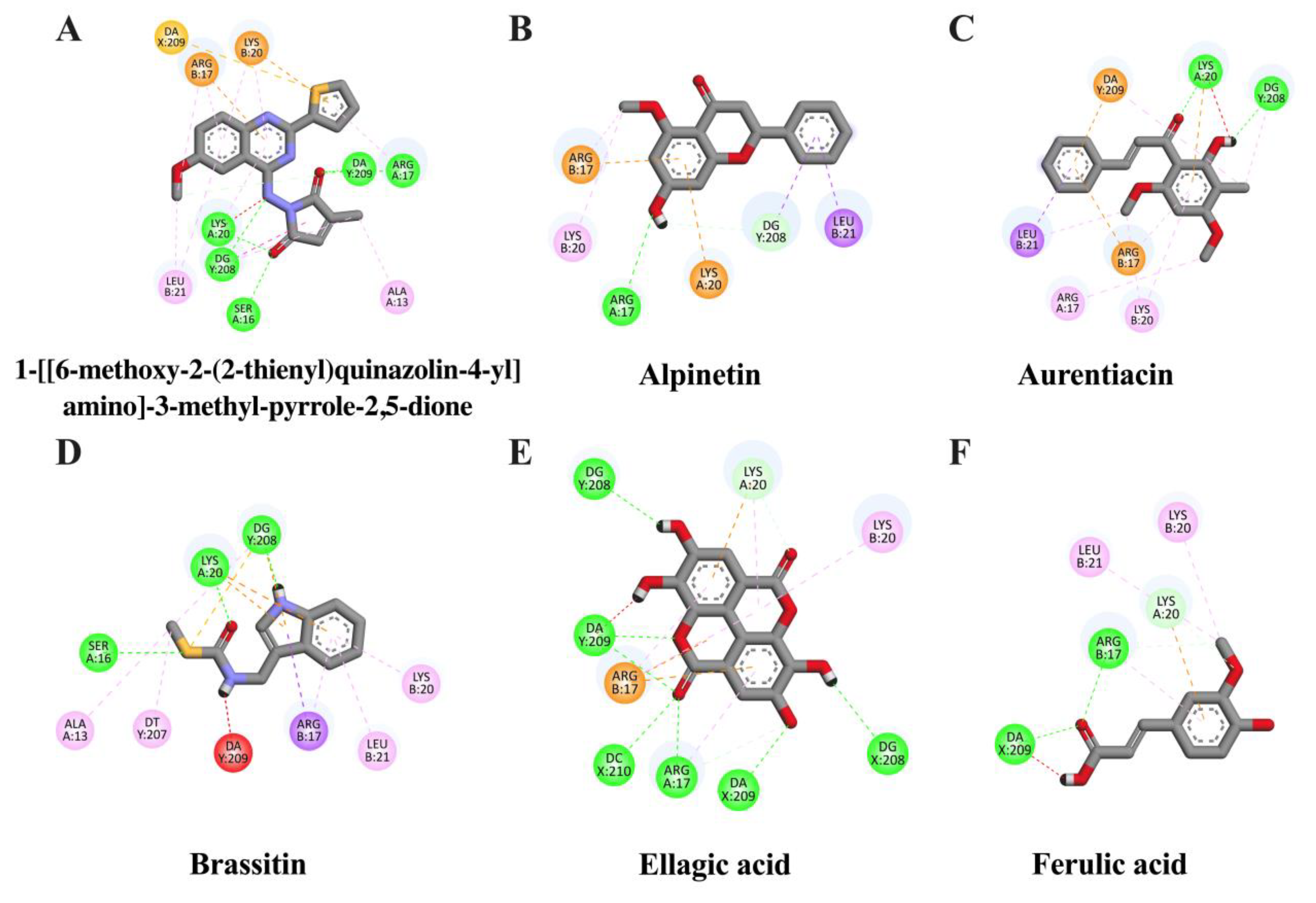 Molecules 28 03057 g003