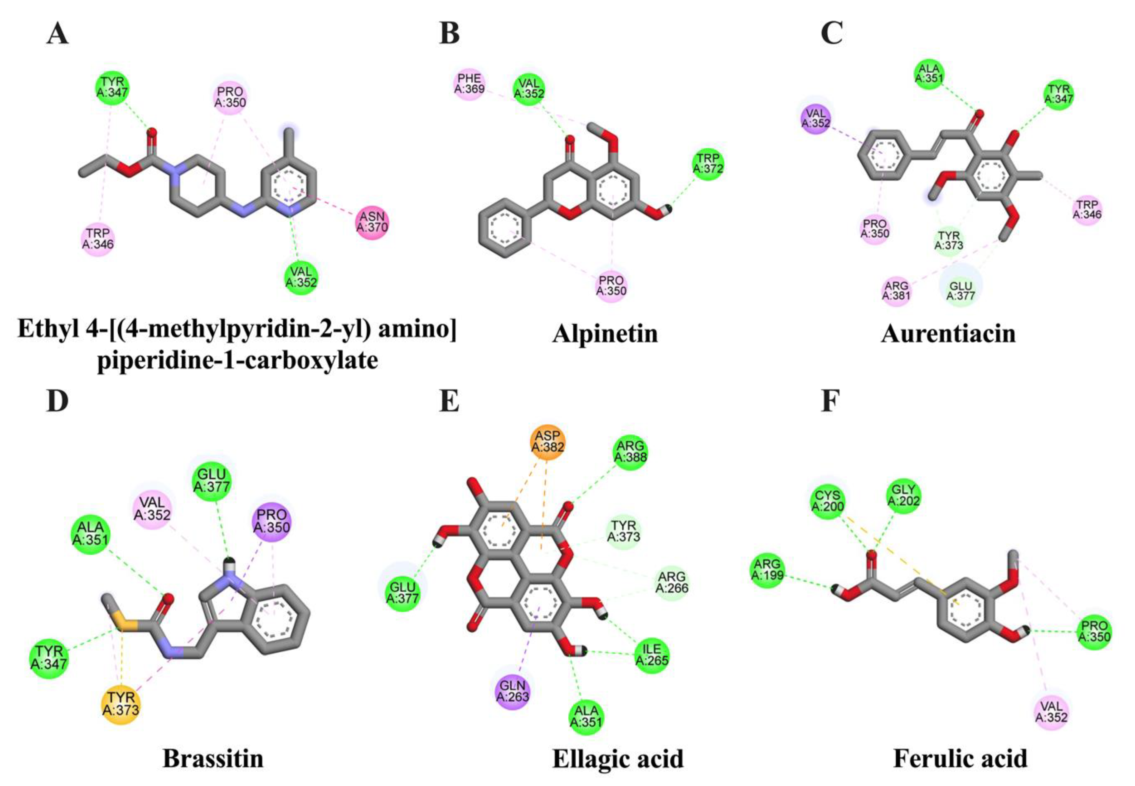 Molecules 28 03057 g004