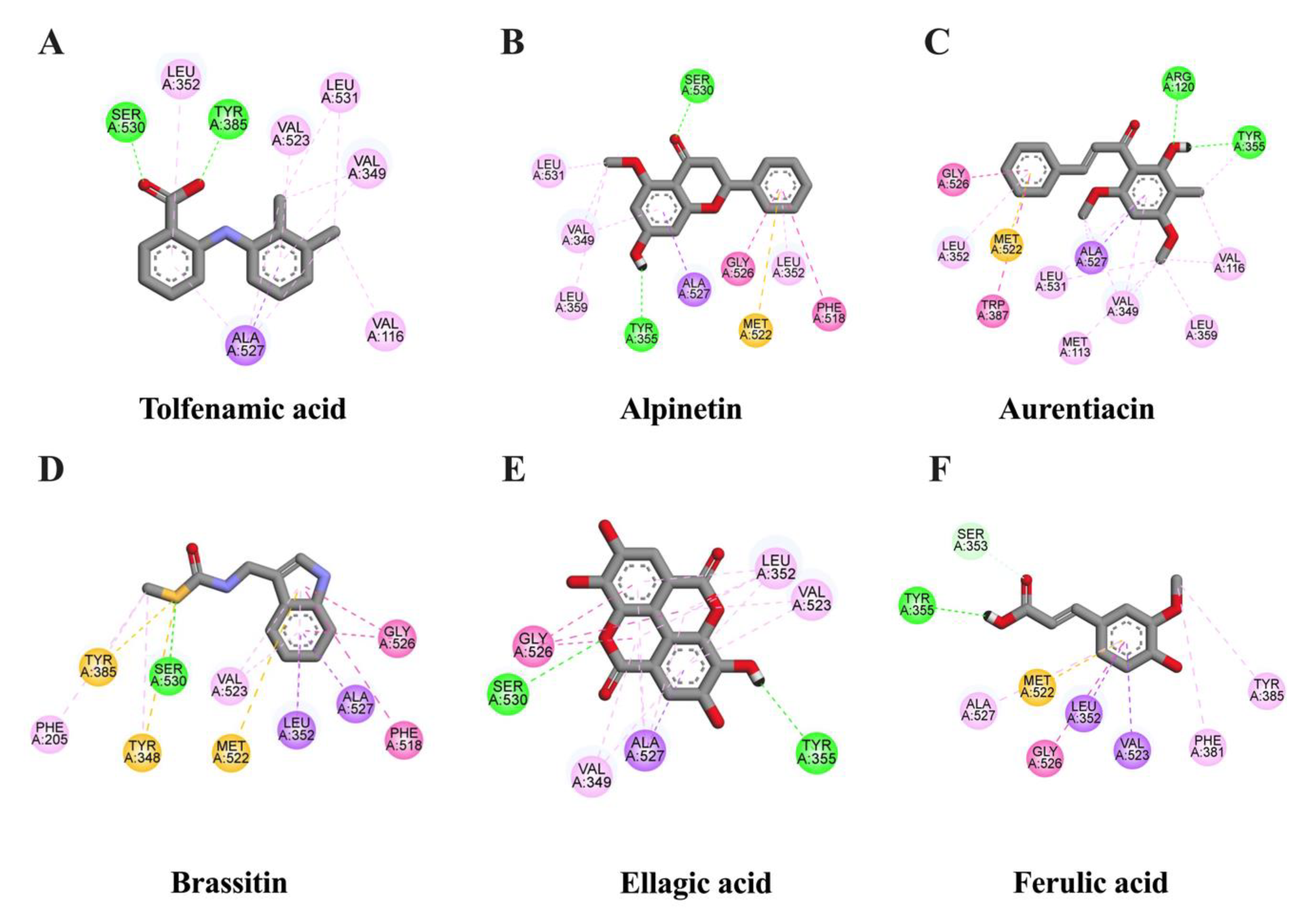 Molecules 28 03057 g005