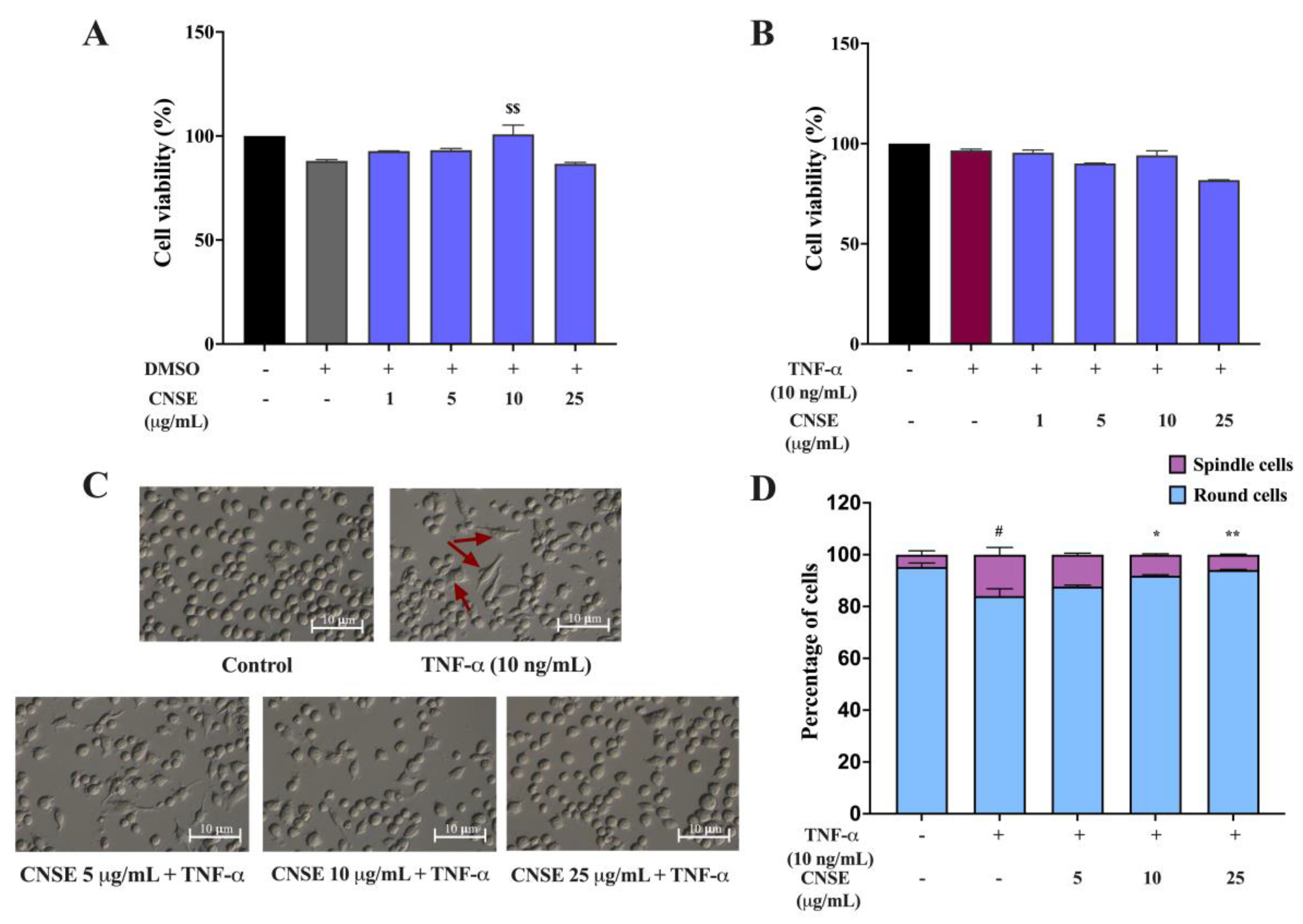 Molecules 28 03057 g006