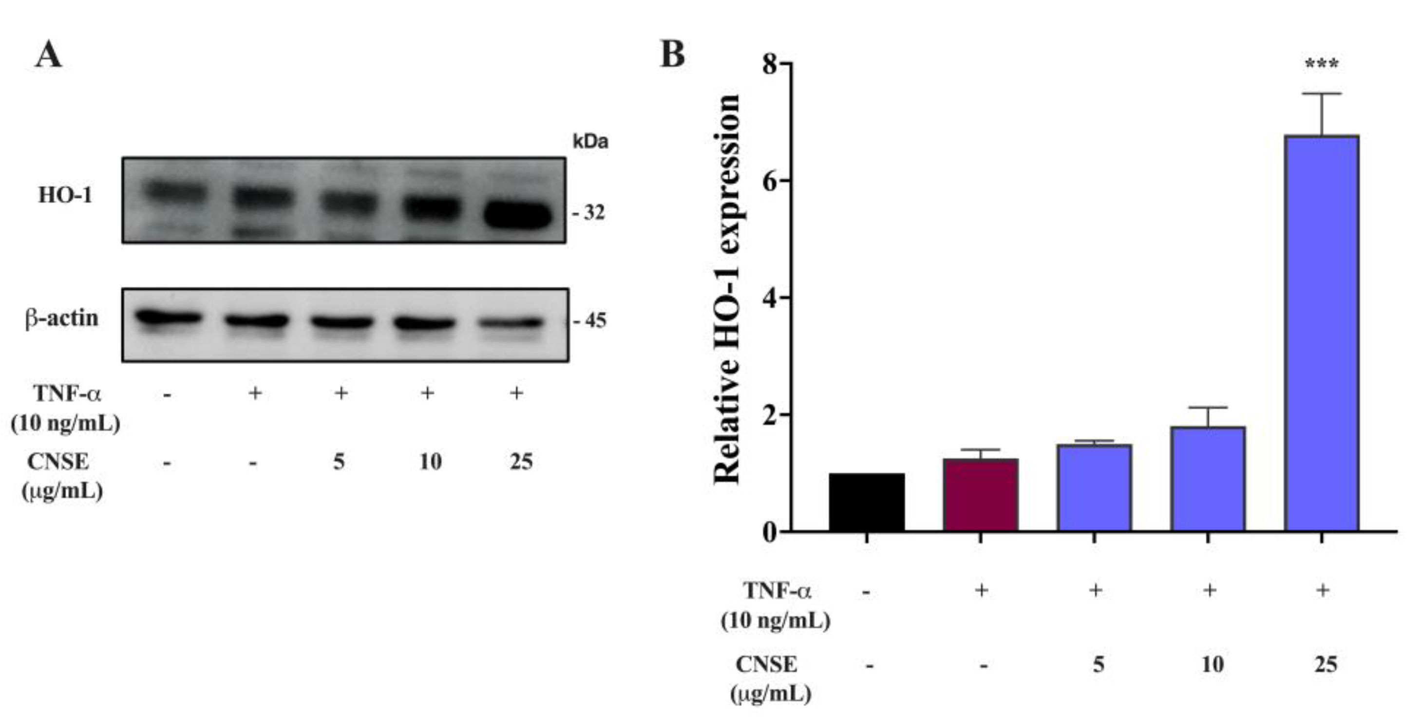 Molecules 28 03057 g009