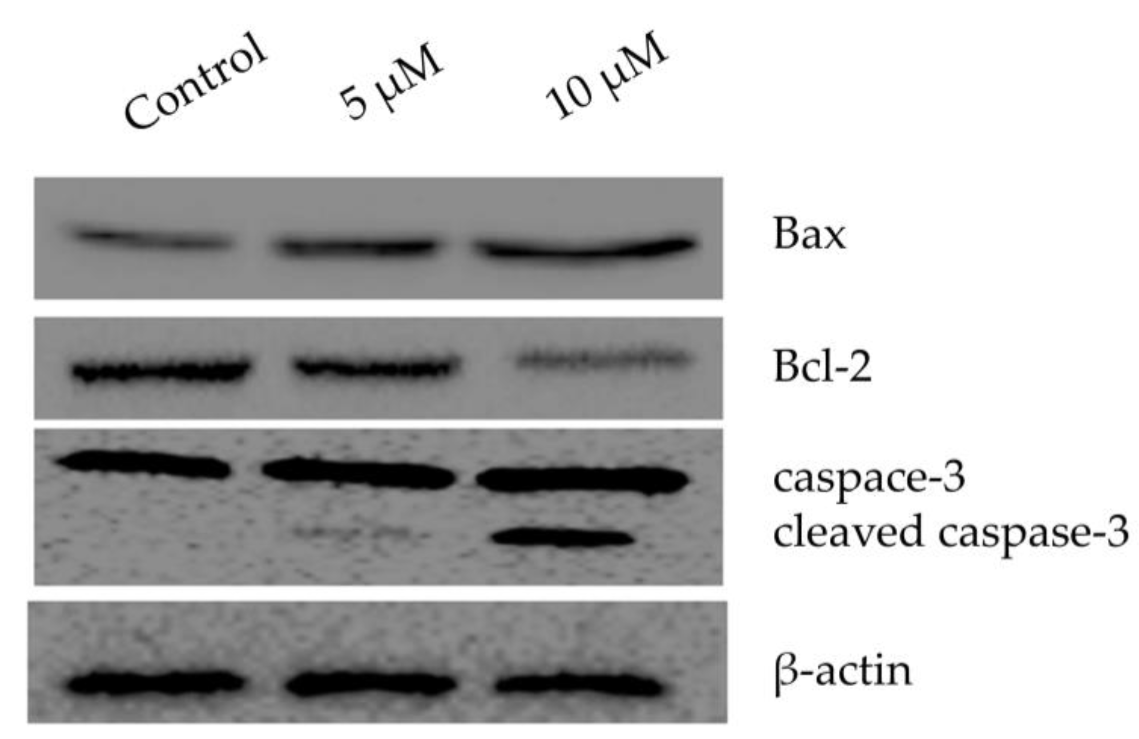 Molecules 28 03061 g005