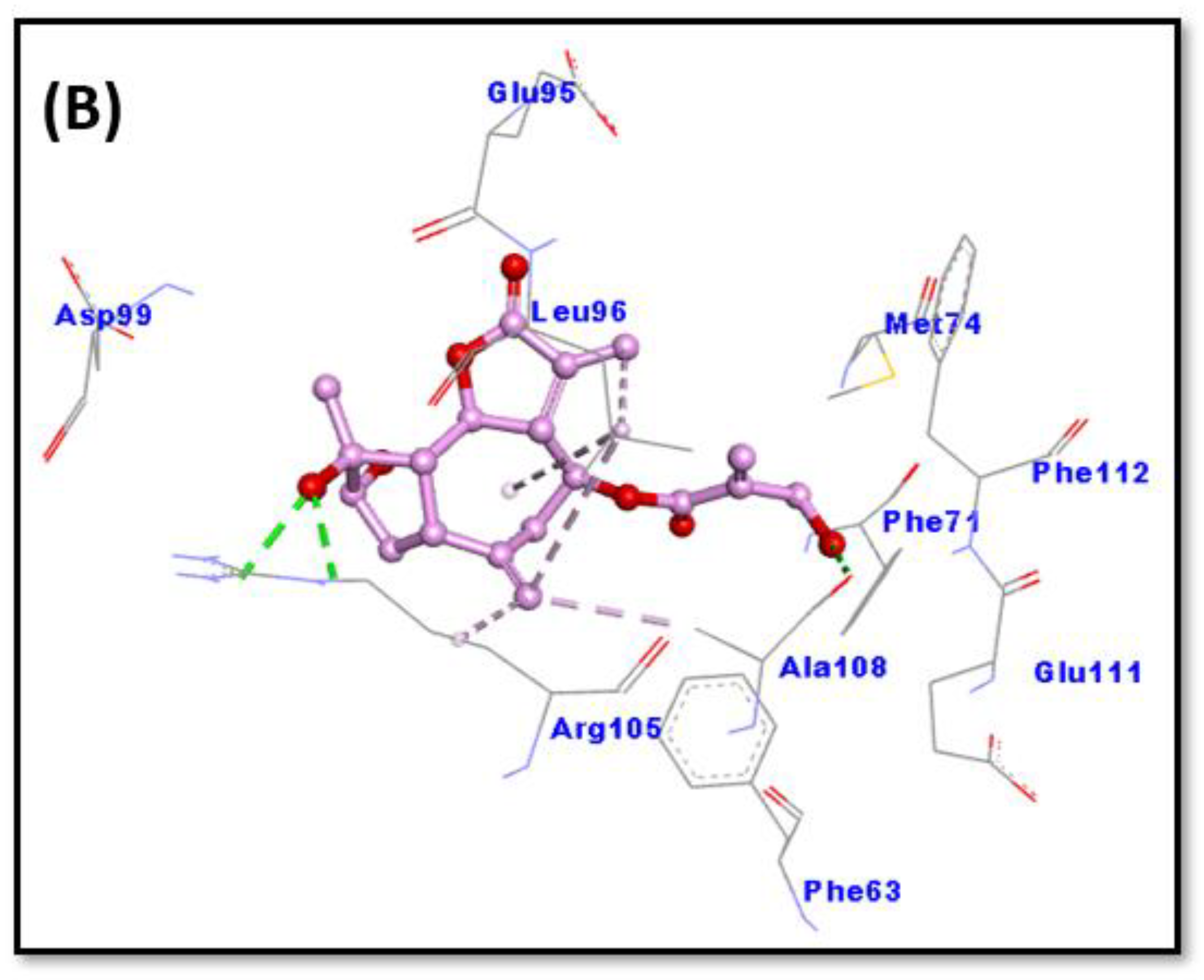 Molecules 28 03061 g008b