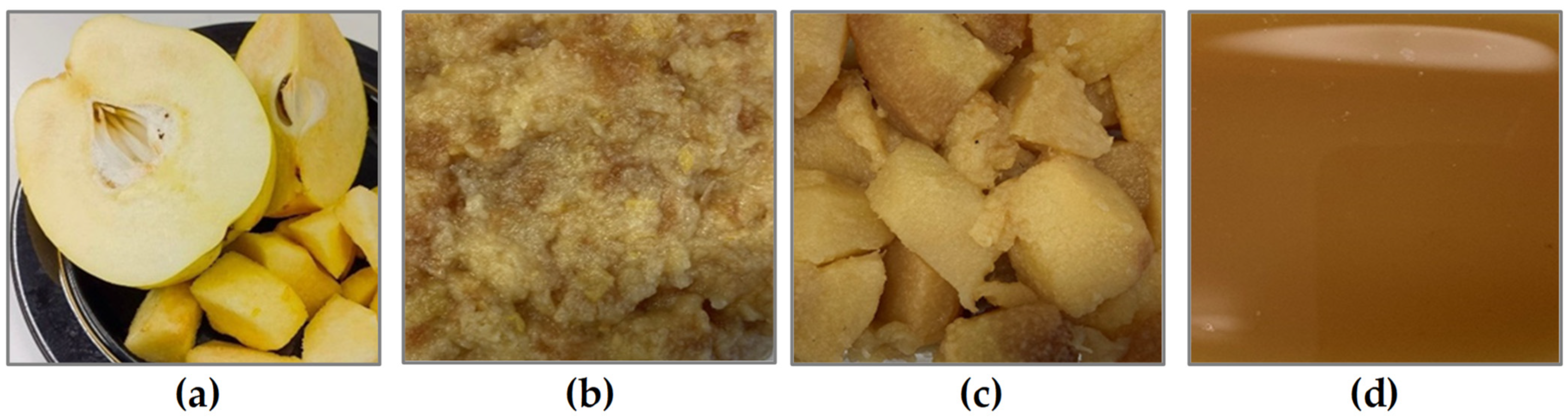 Molecules 28 03066 g001