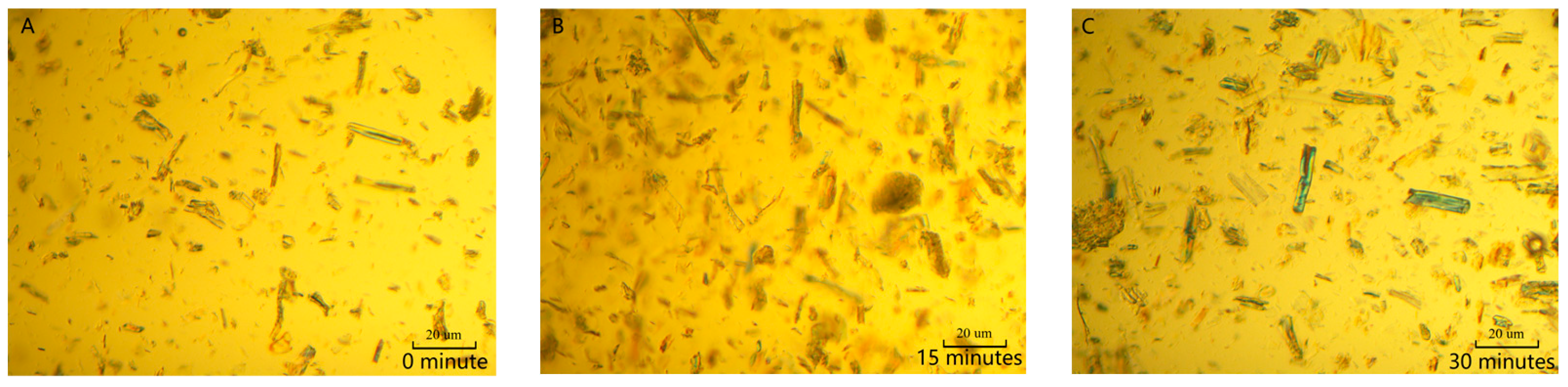 Molecules 28 03070 g002a