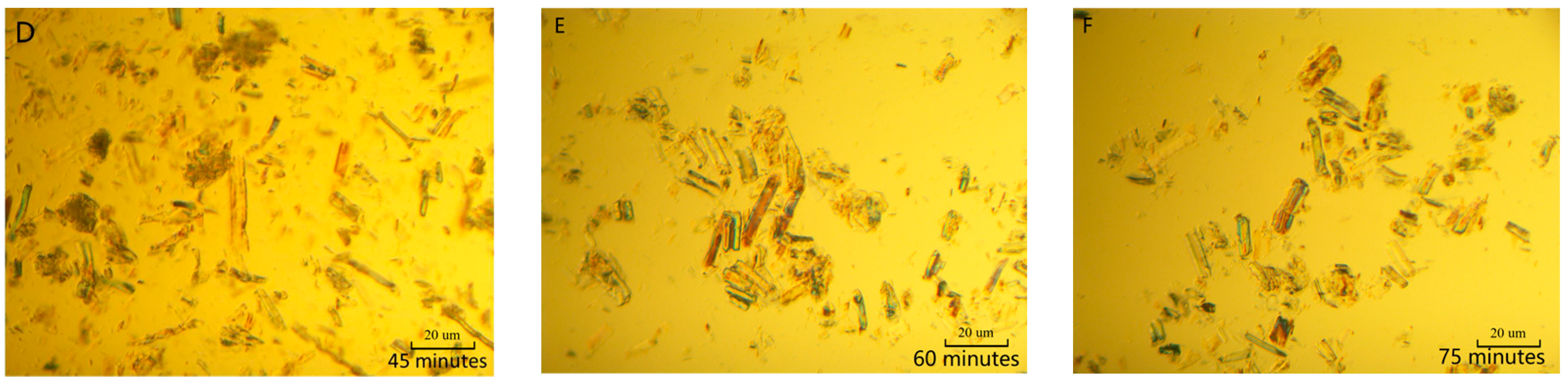 Molecules 28 03070 g002b