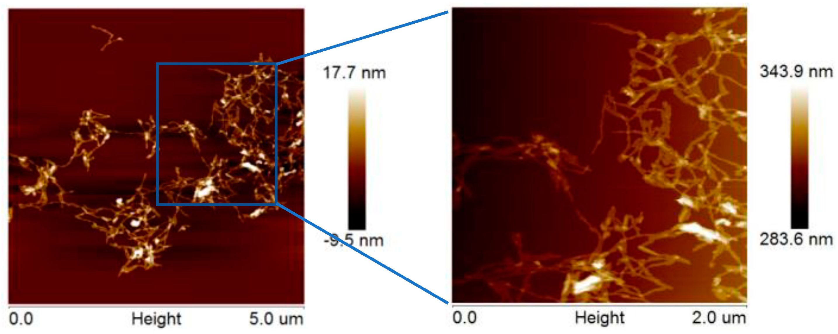 Molecules 28 03070 g004