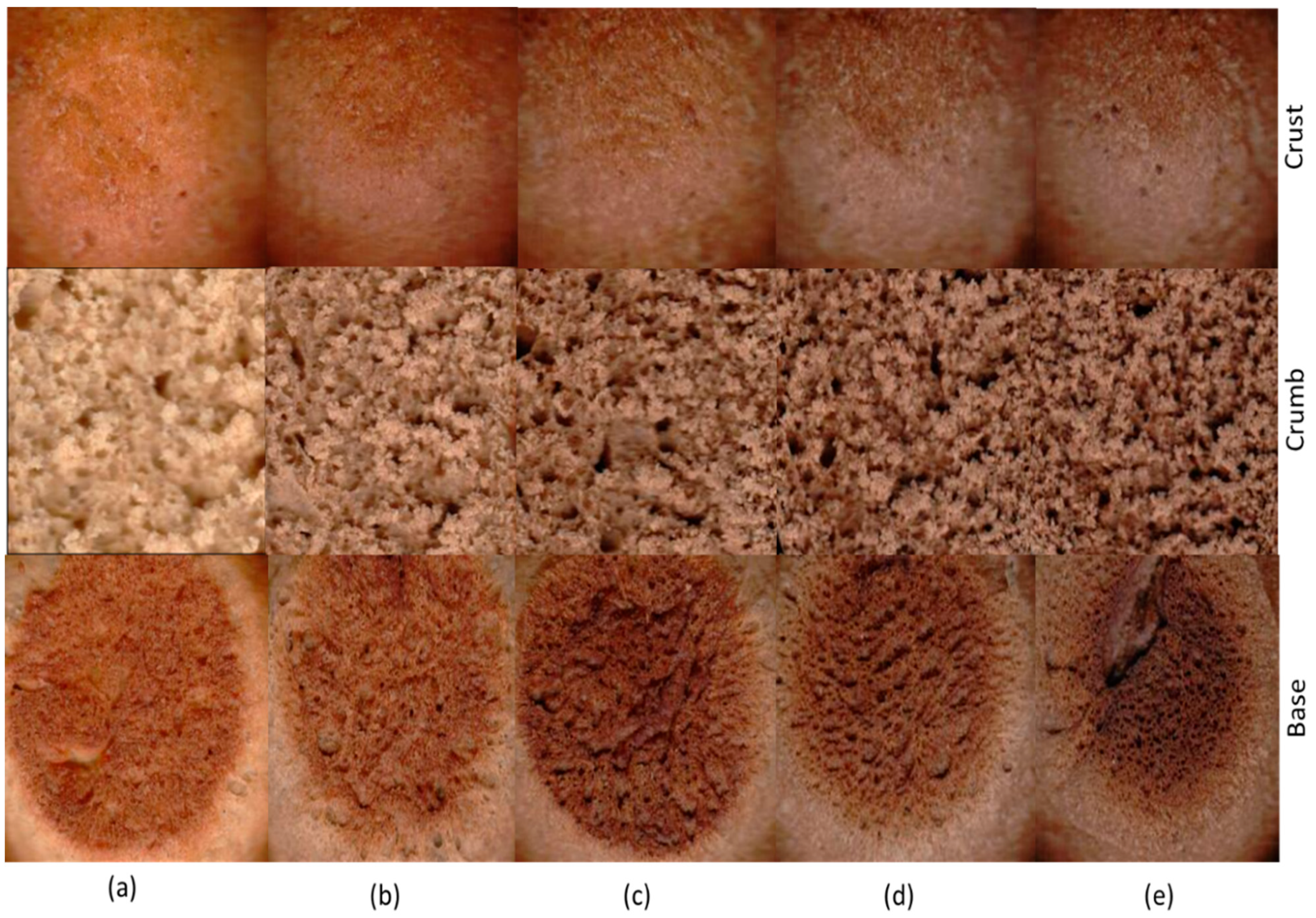 Molecules 28 03073 g001