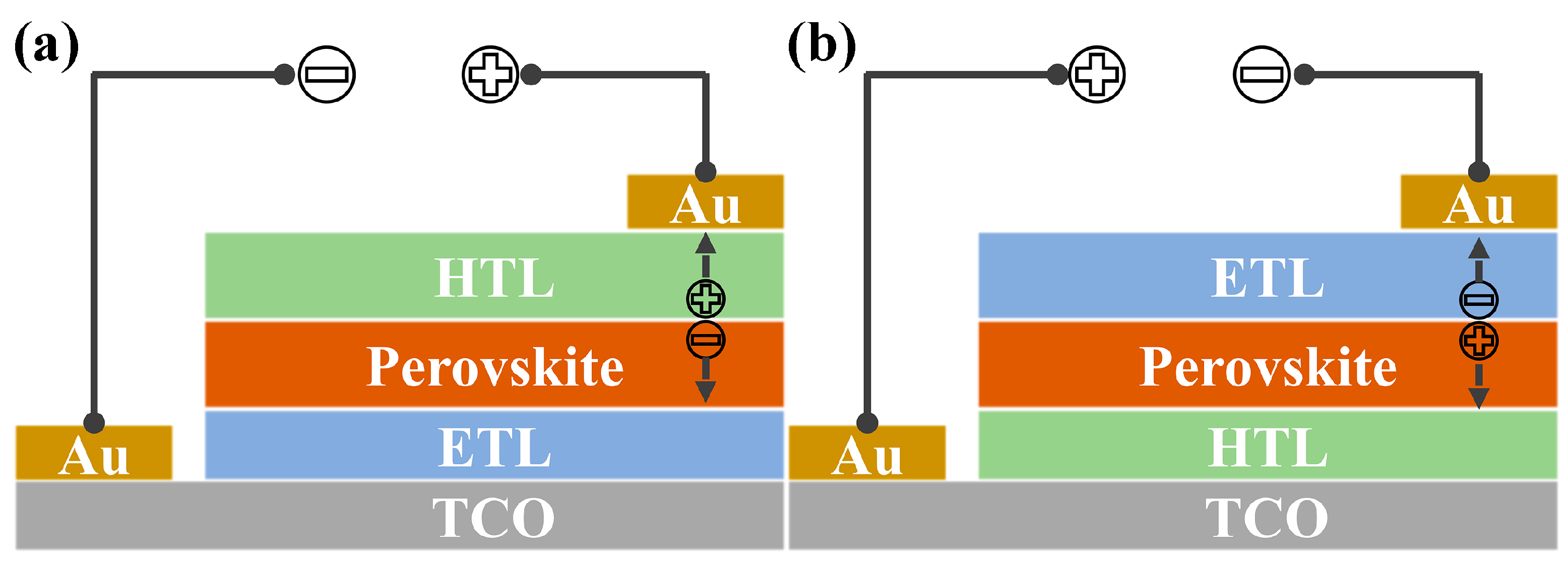 Molecules 28 03076 g001