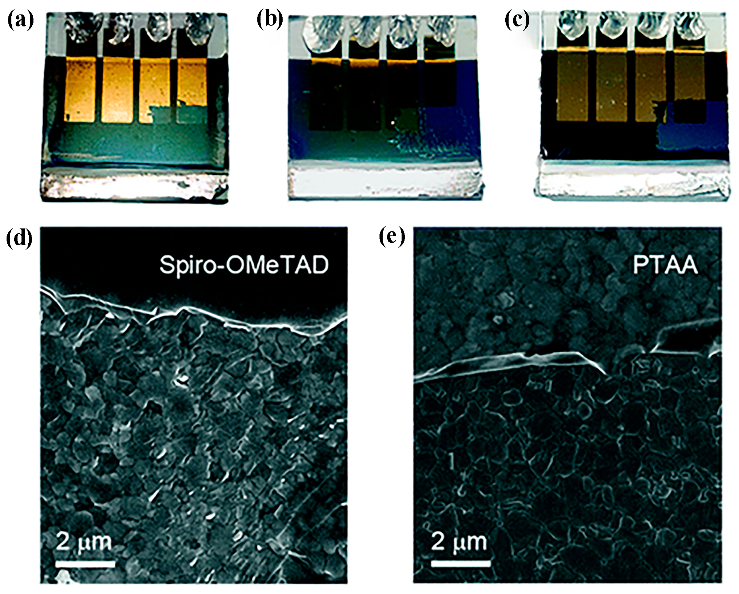 Molecules 28 03076 g004