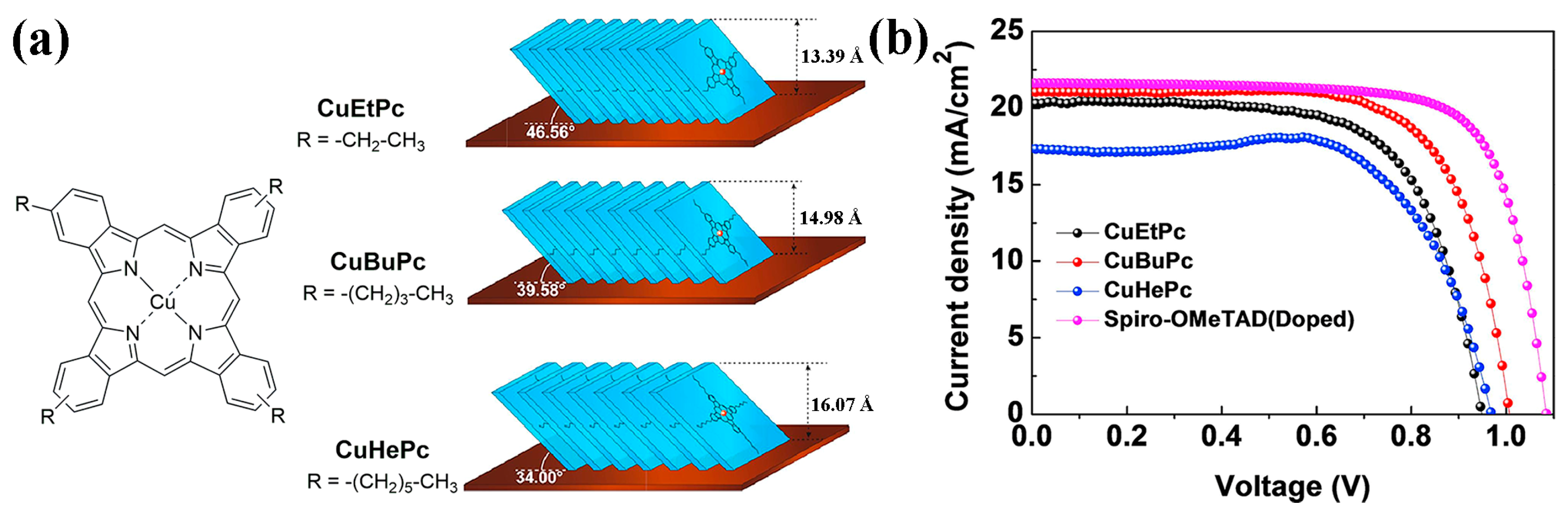 Molecules 28 03076 g006