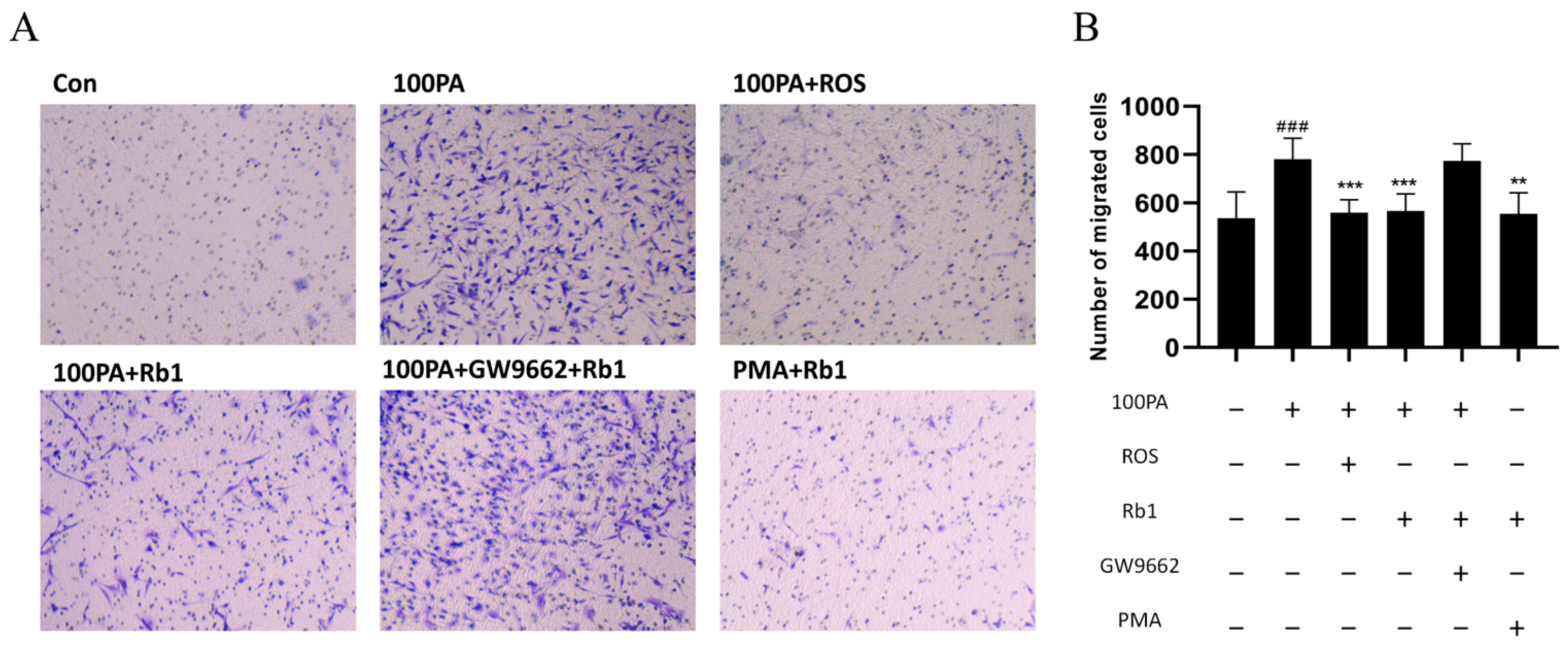 Molecules 28 03083 g007 Molecules 28 03083 g007