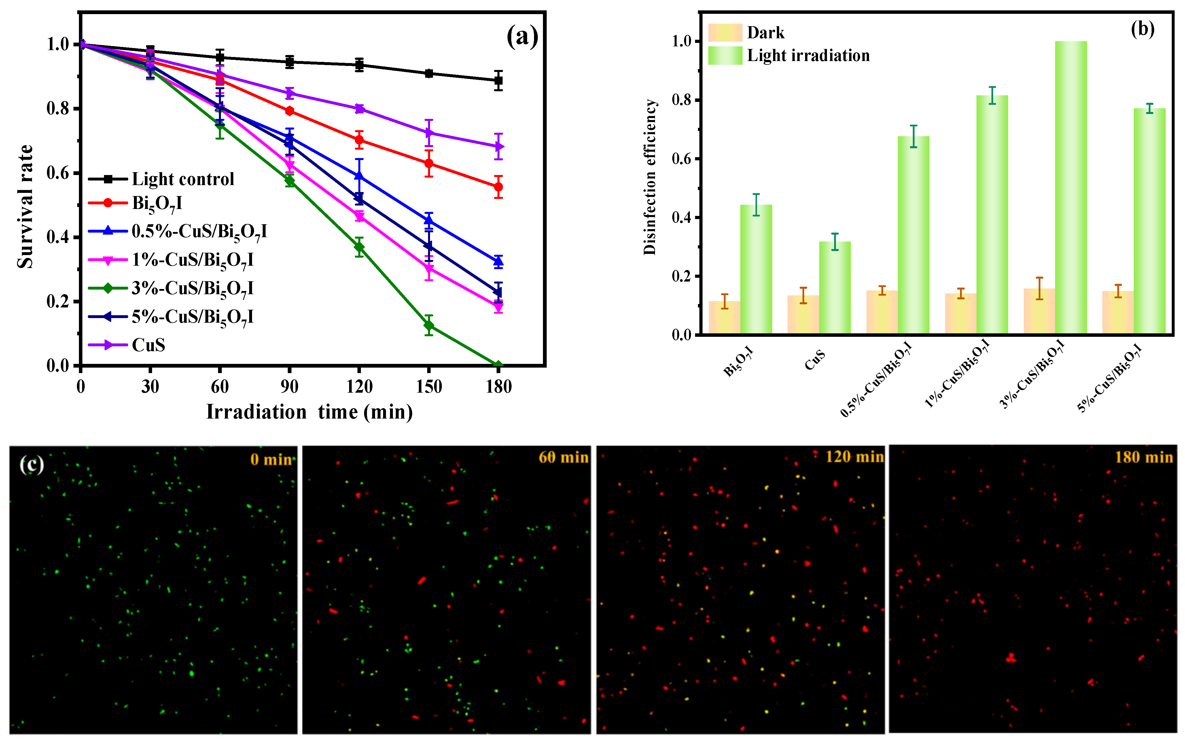 Molecules 28 03084 g005