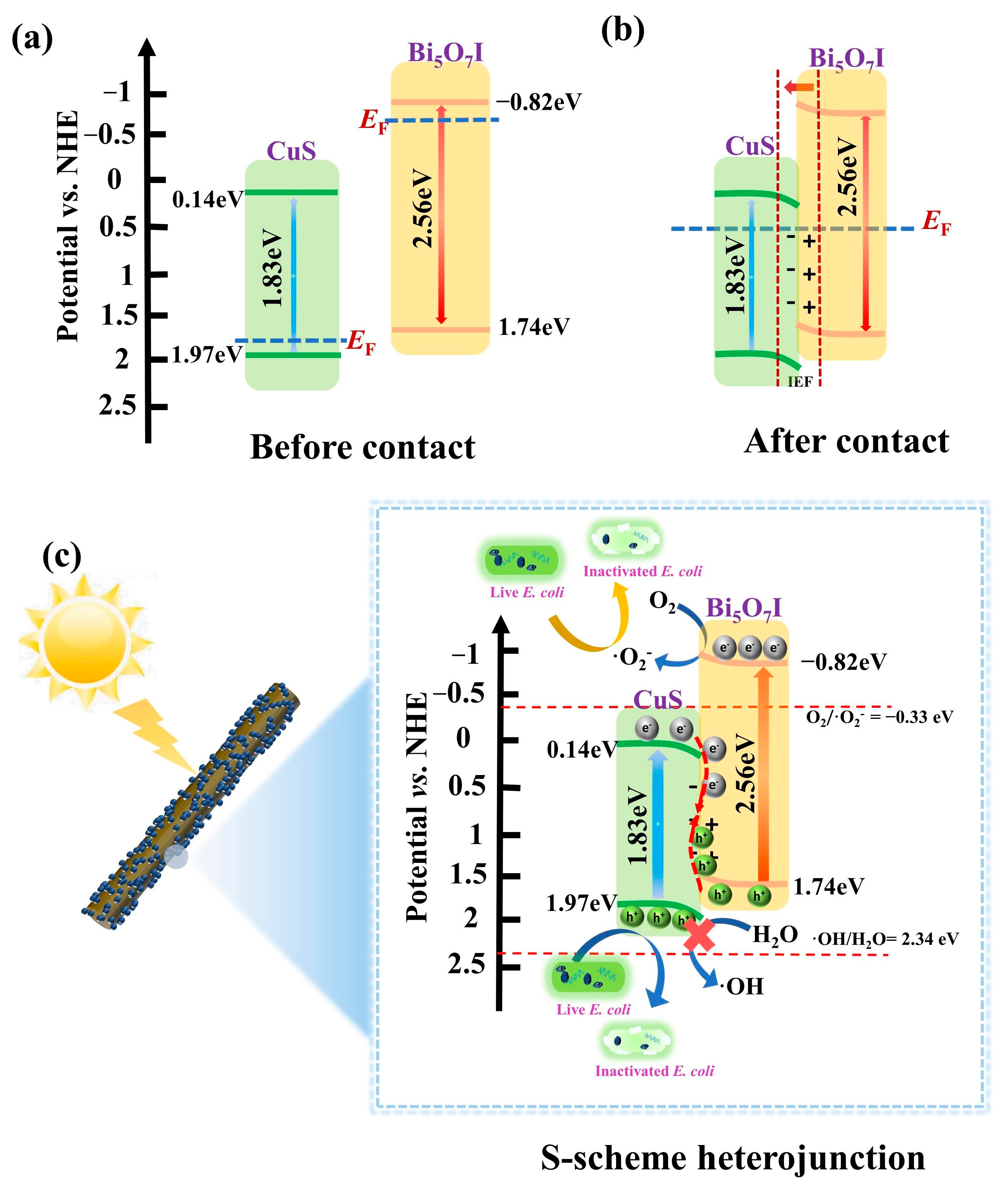 Molecules 28 03084 g009