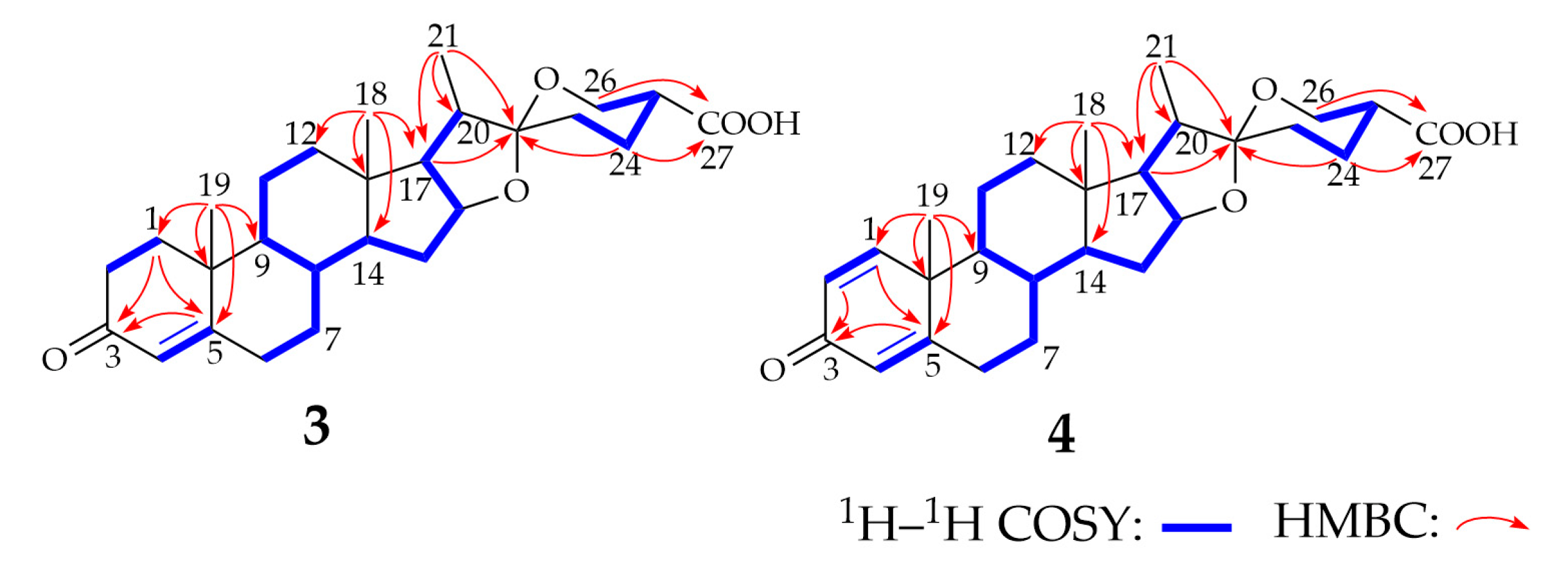 Molecules 28 03093 g002