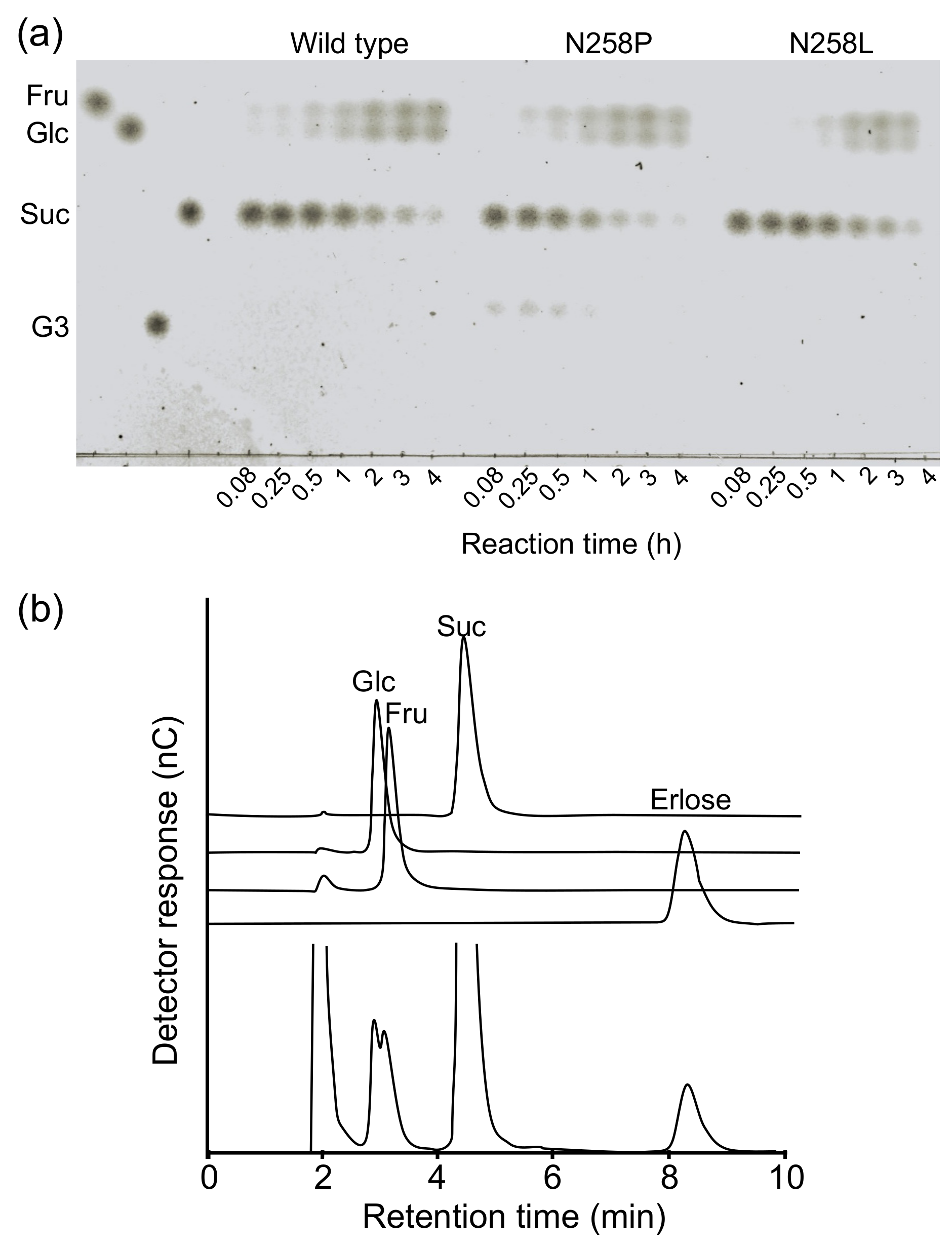 Molecules 28 03109 g003