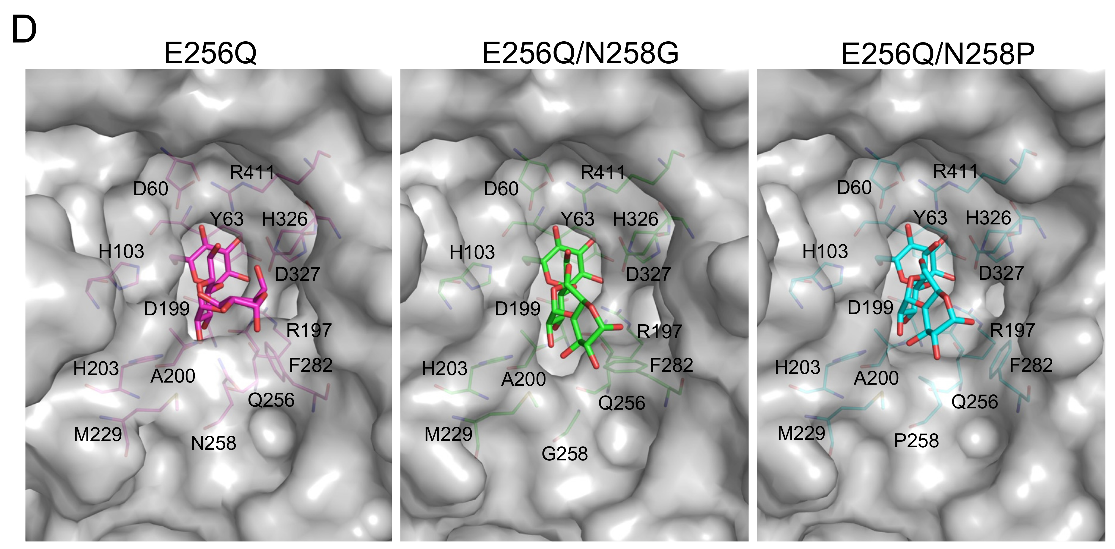 Molecules 28 03109 g005b