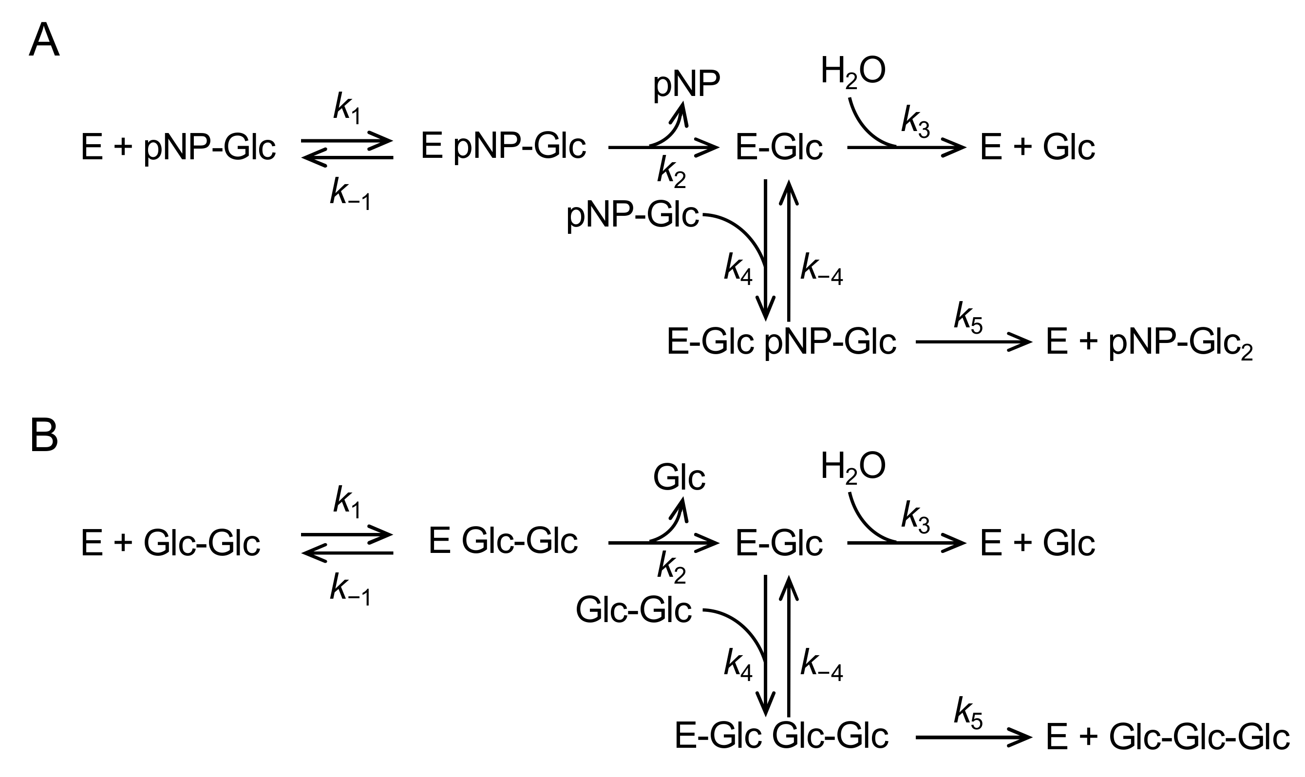 Molecules 28 03109 g006