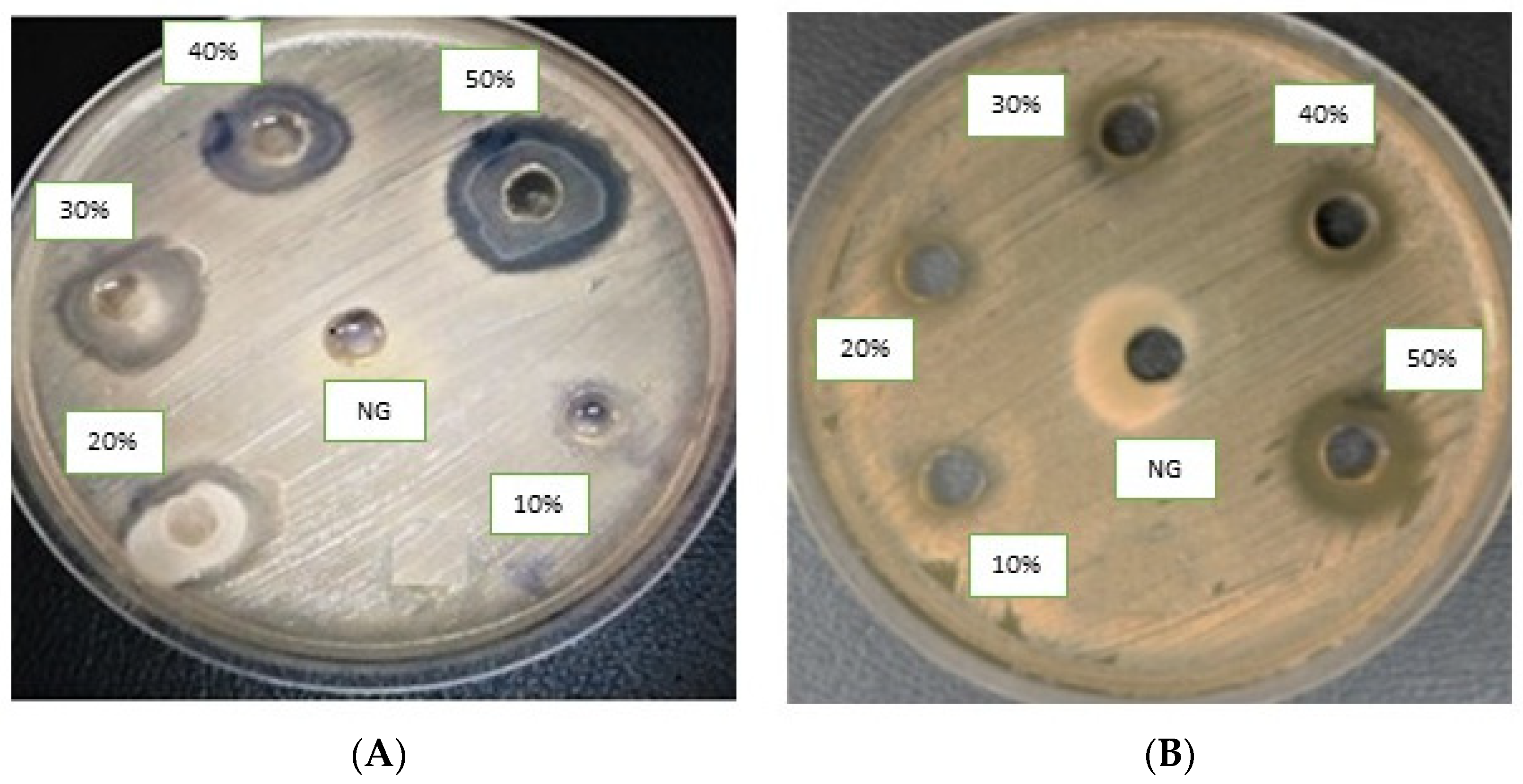 Molecules 28 03118 g003