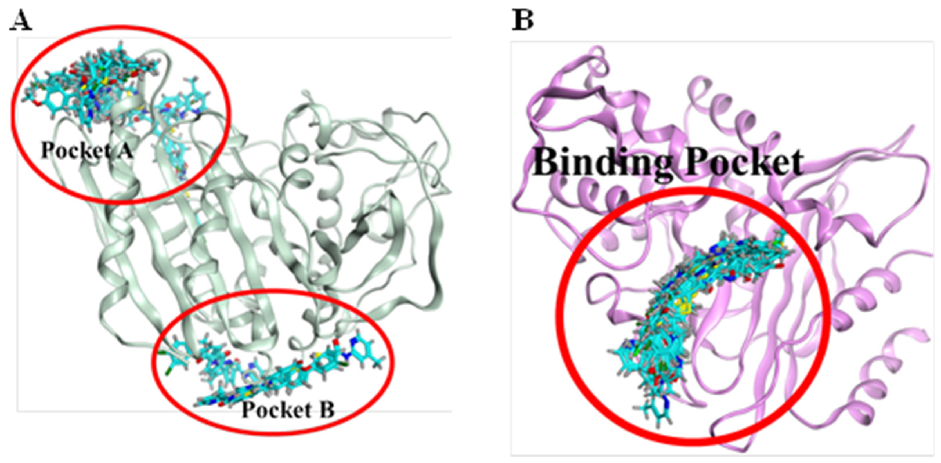 Molecules 28 03118 g006