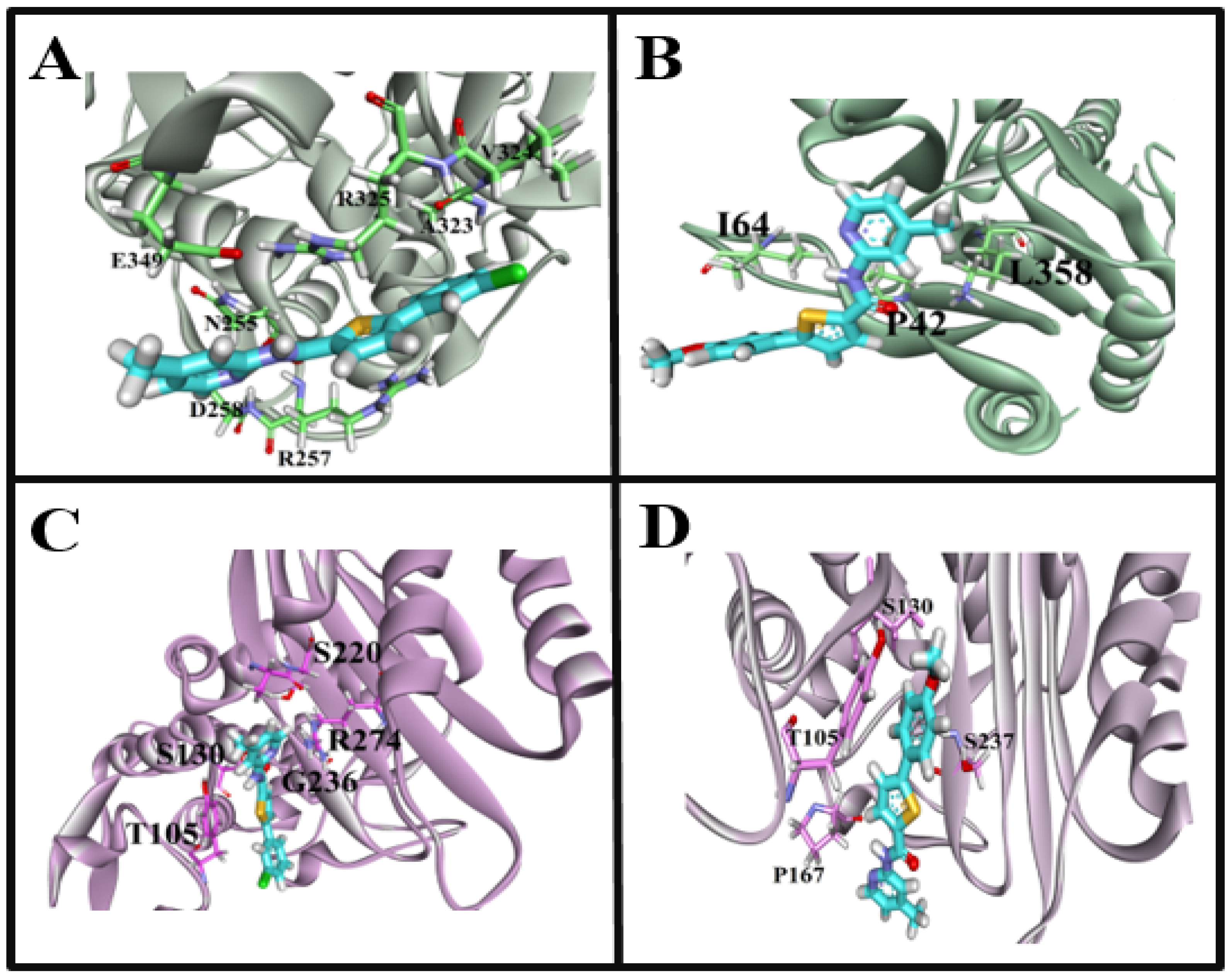 Molecules 28 03118 g007