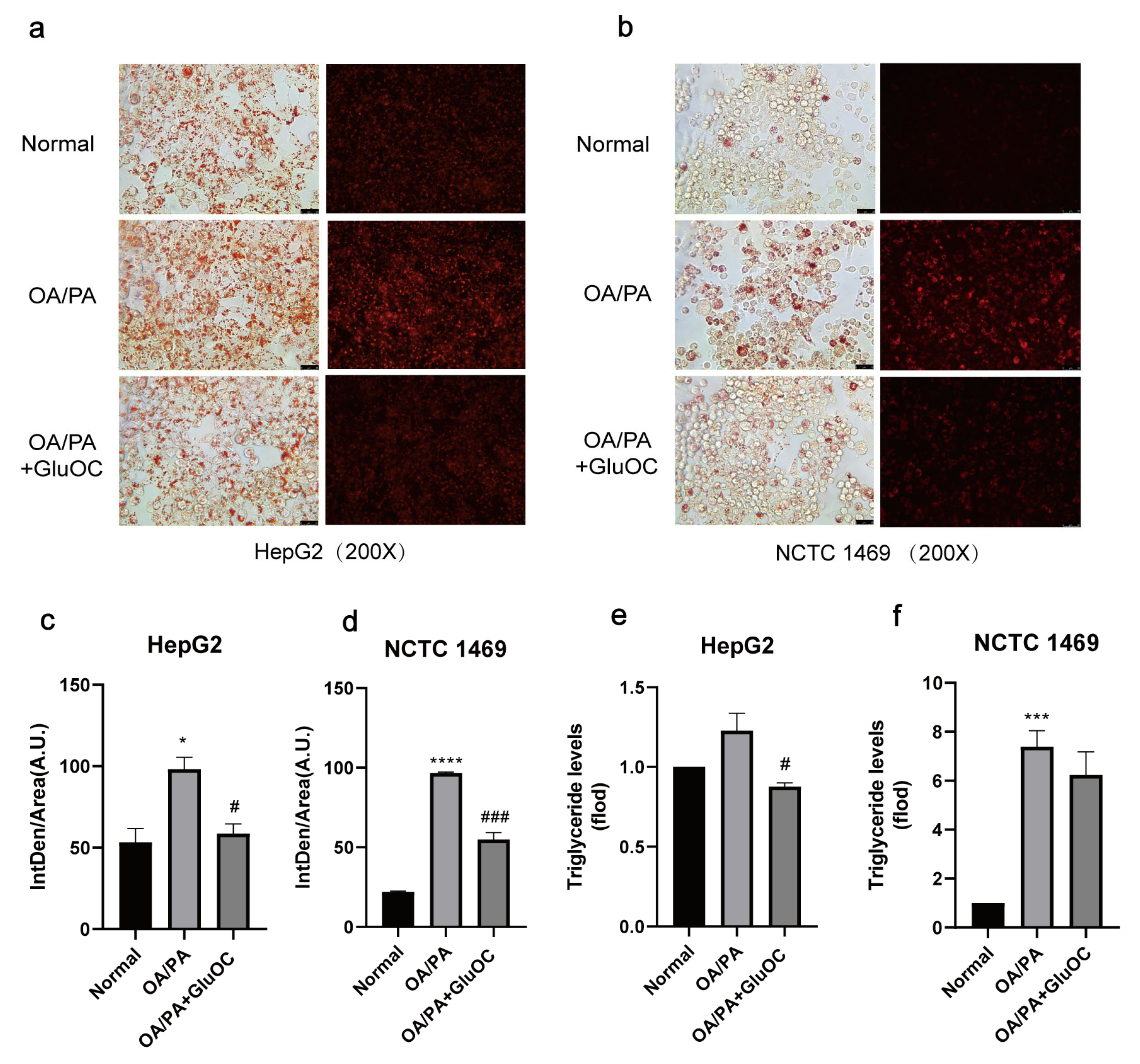Molecules 28 03121 g001