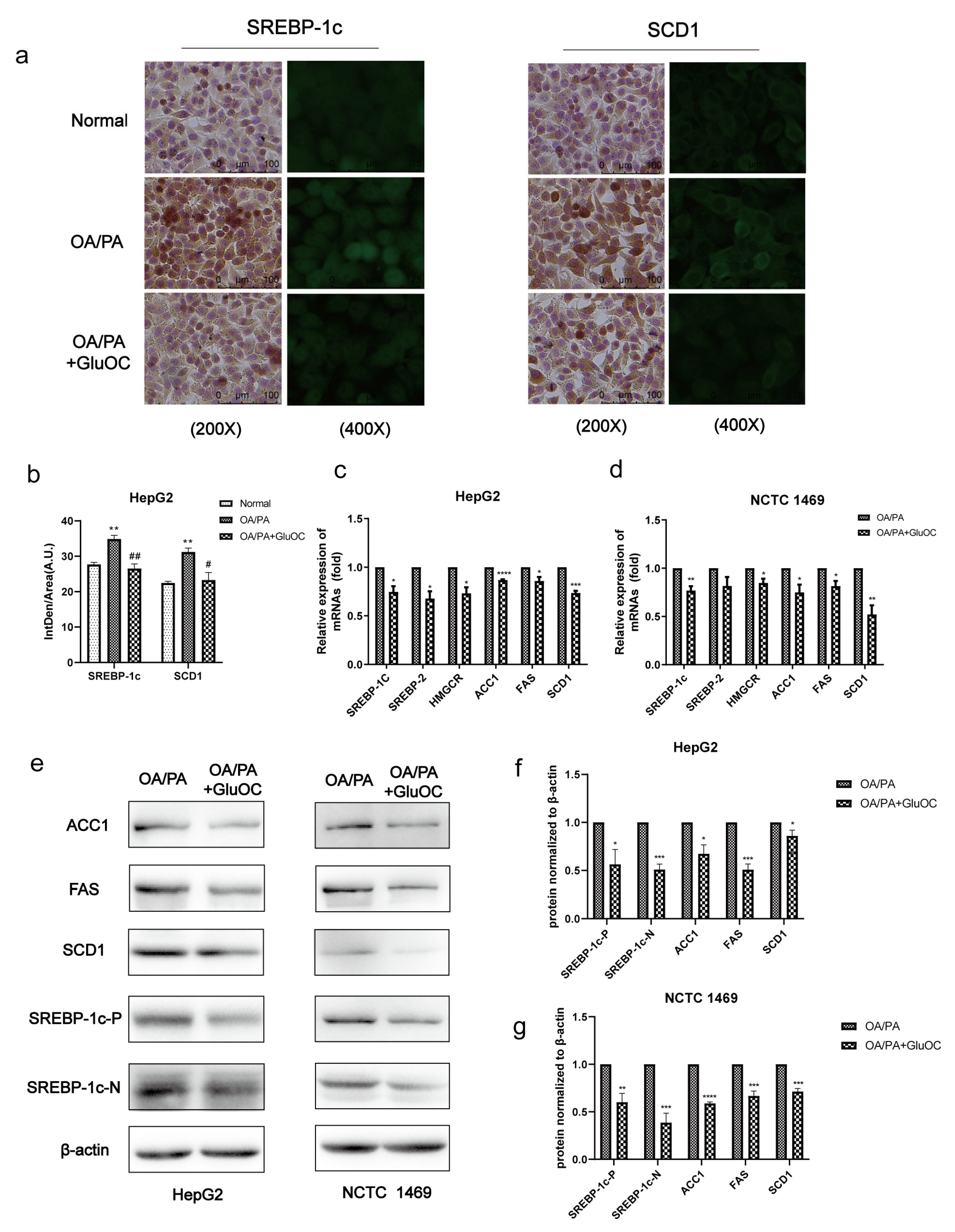 Molecules 28 03121 g002