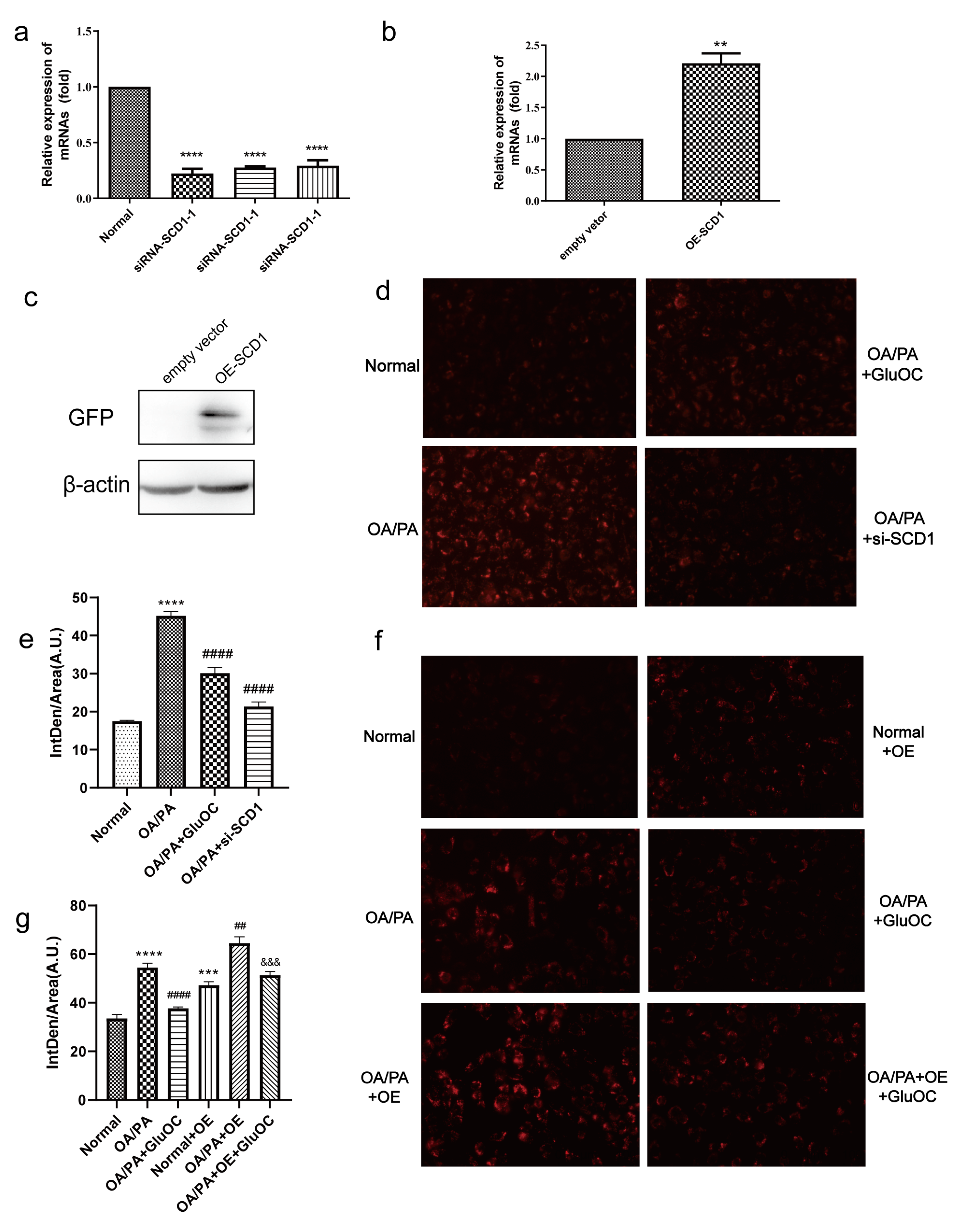 Molecules 28 03121 g003