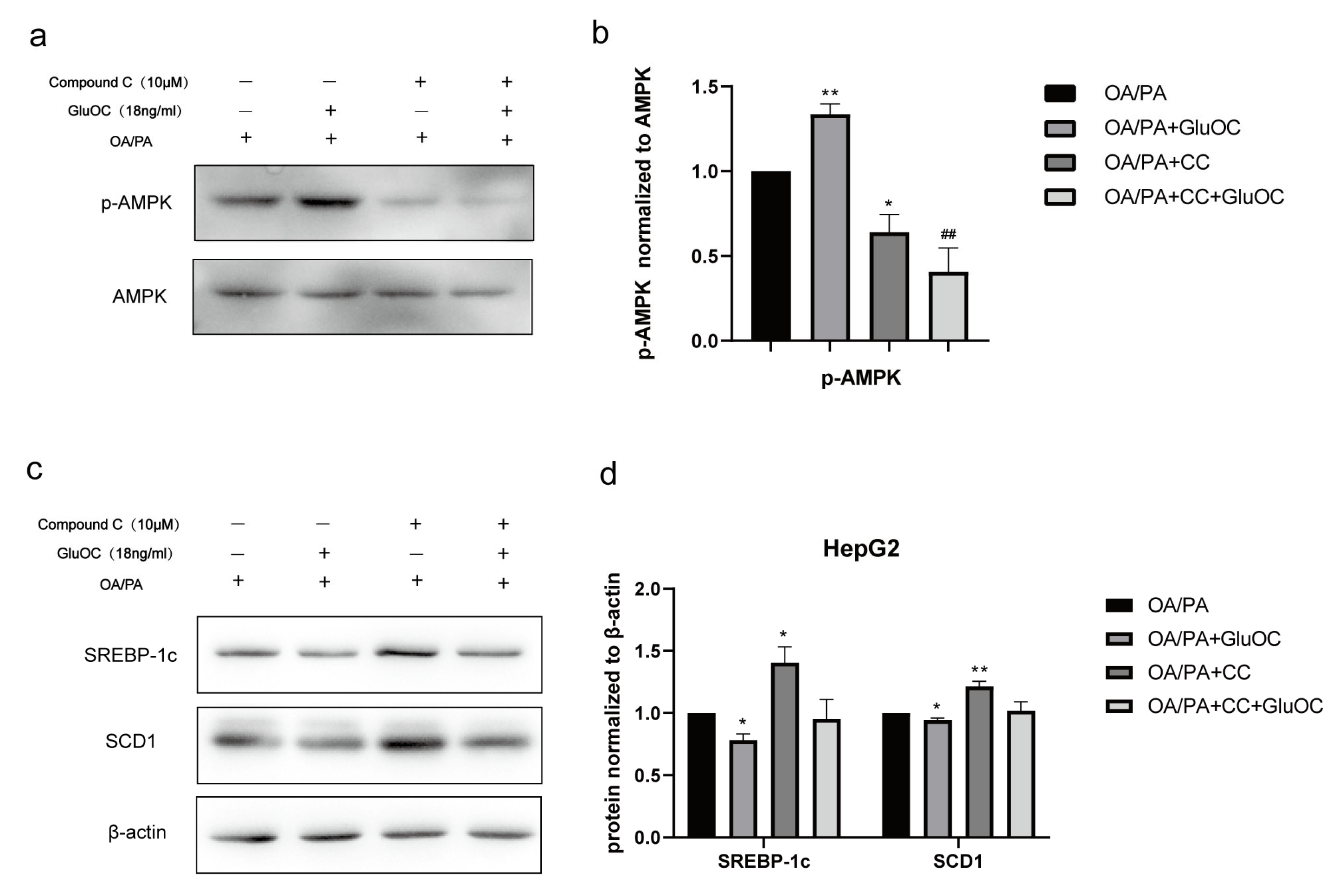 Molecules 28 03121 g004