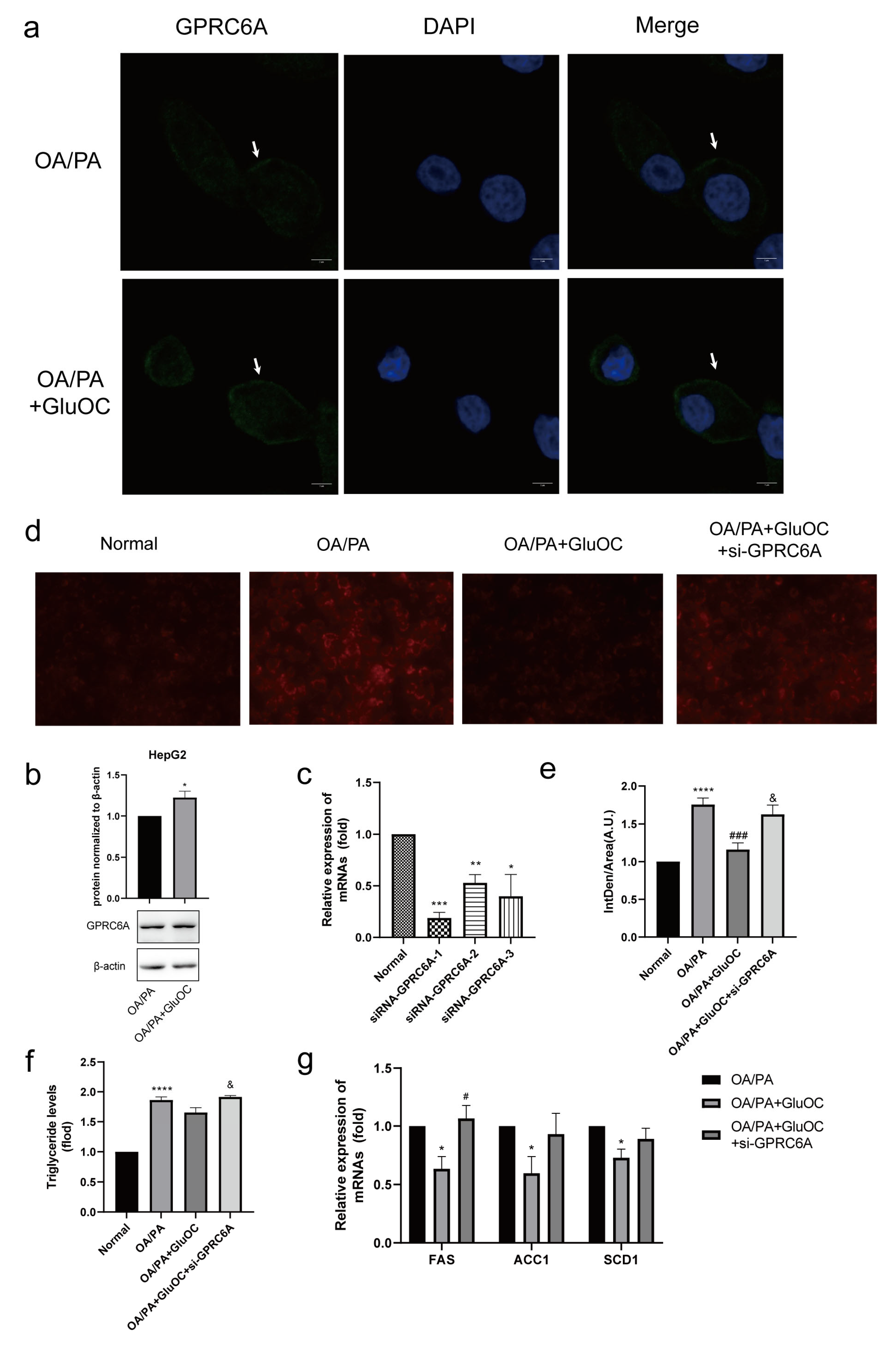 Molecules 28 03121 g005