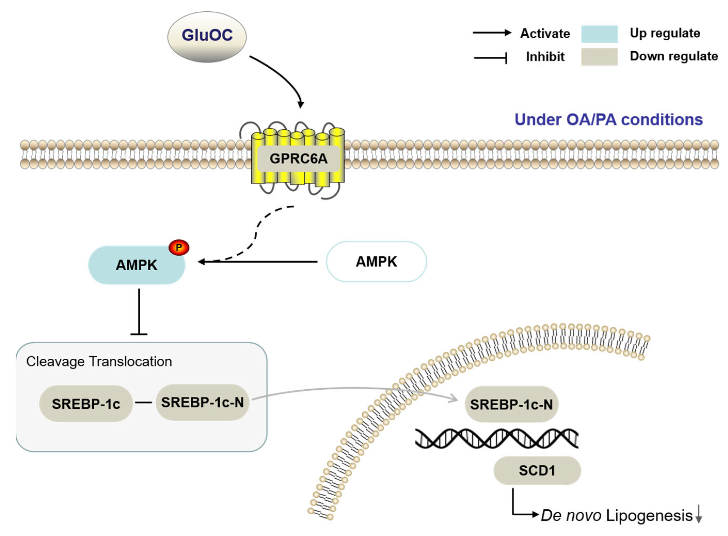 Molecules 28 03121 g007