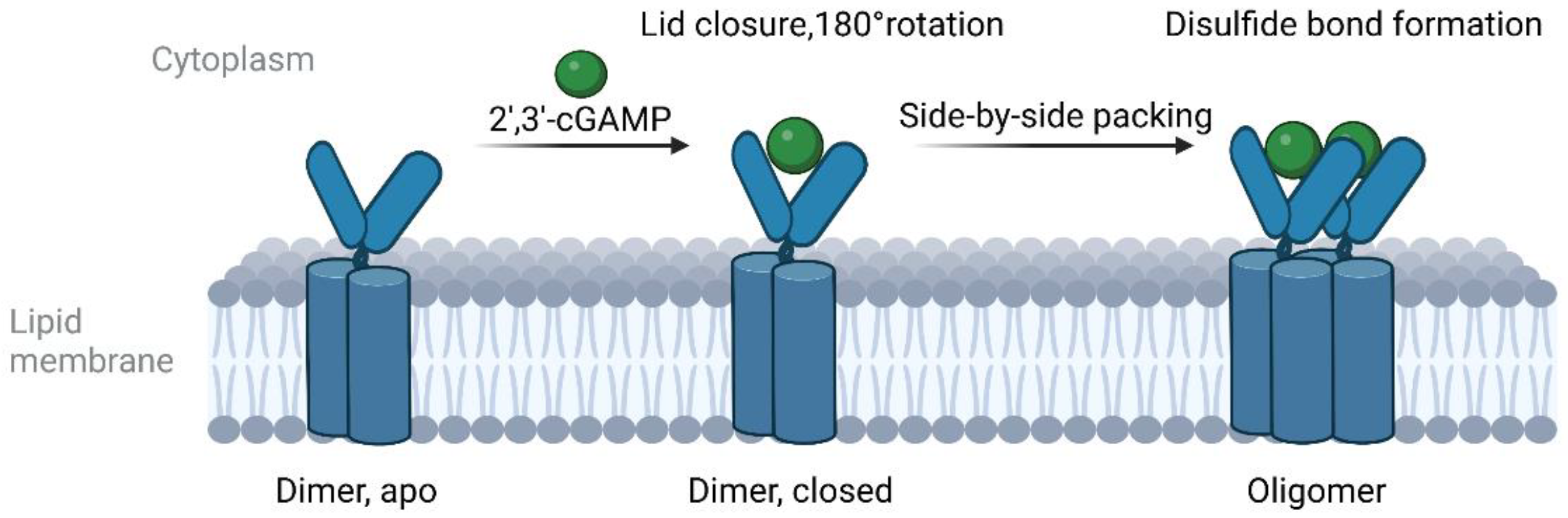 Molecules 28 03127 g001