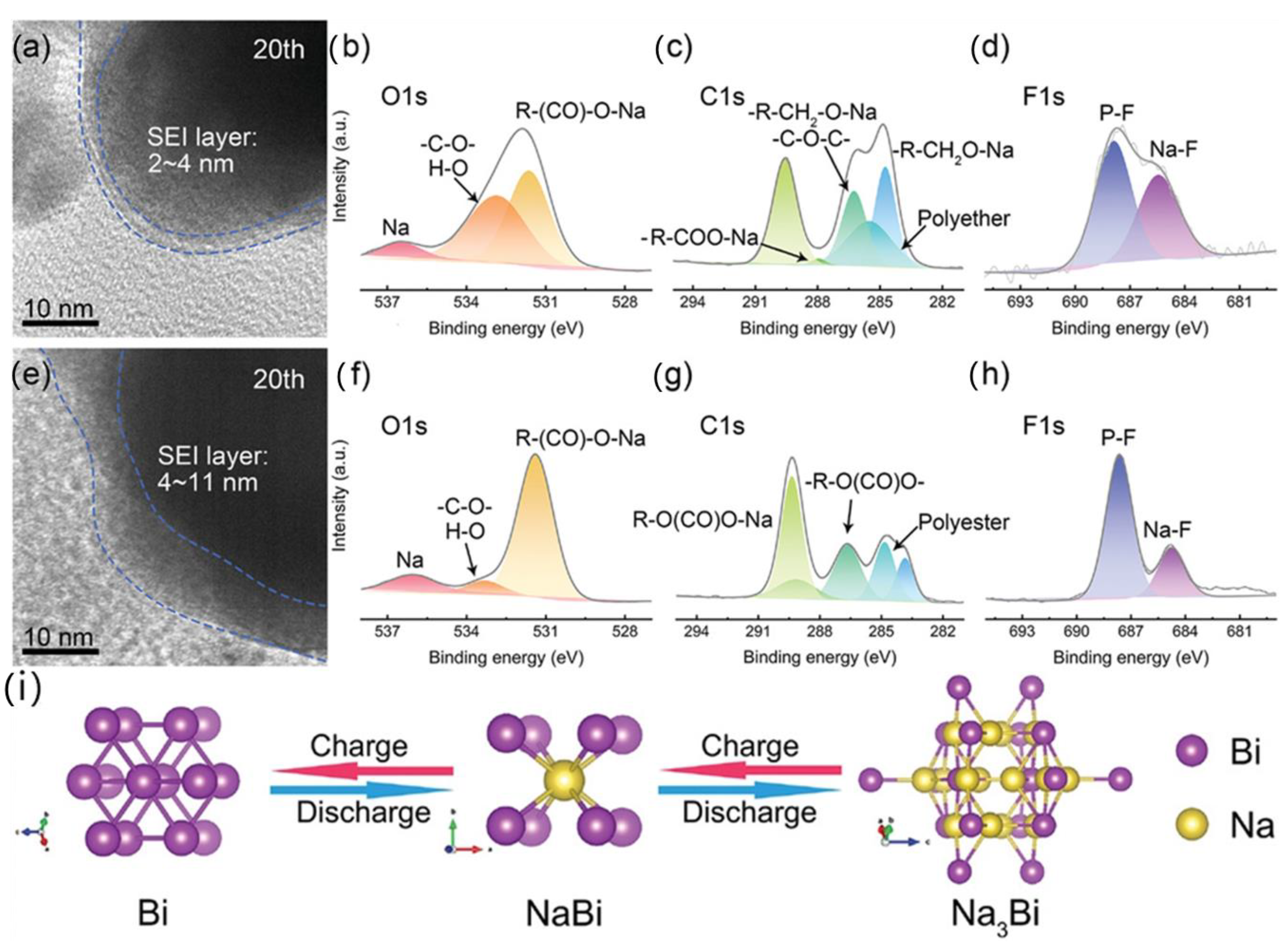 Molecules 28 03134 g007 Molecules 28 03134 g007